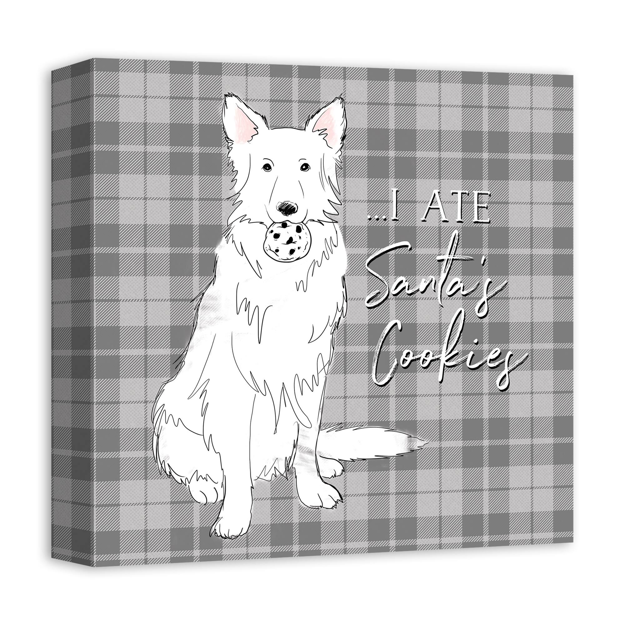 I Ate Santa's Cookies 12x12 Canvas Wall Art