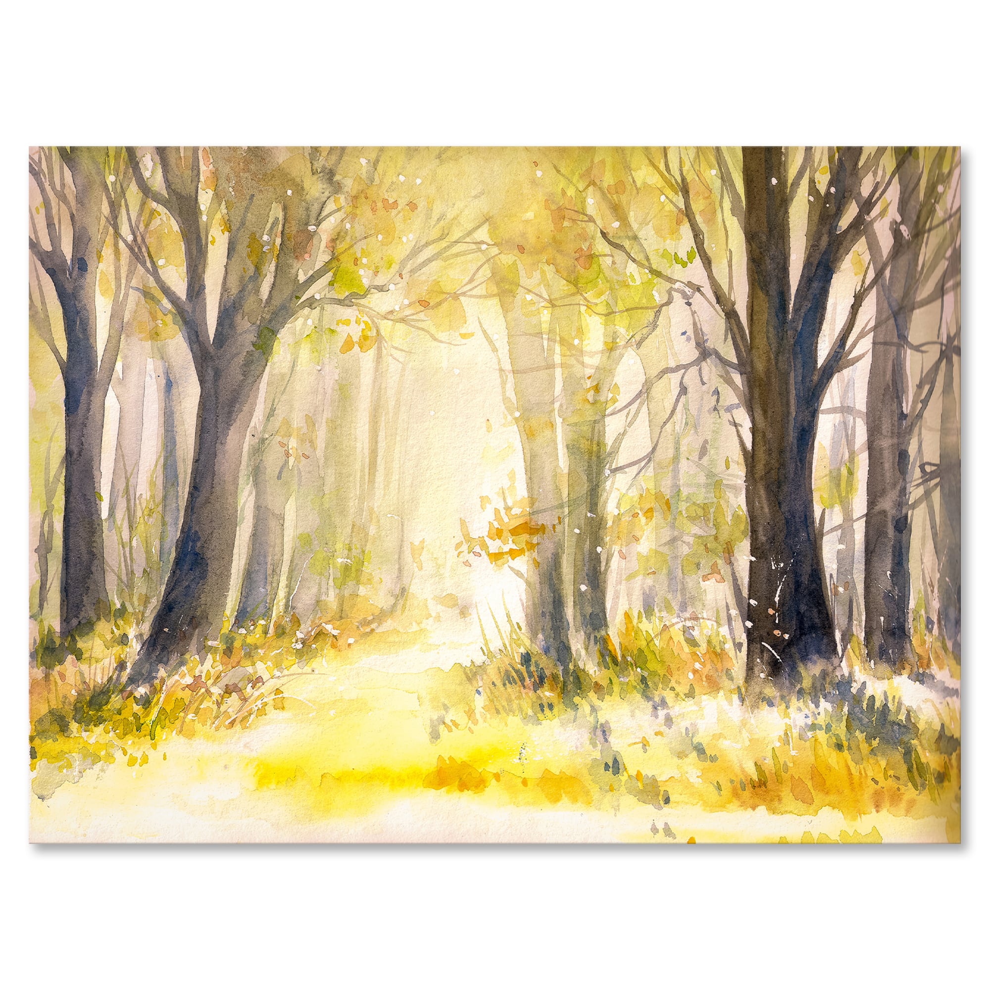 Designart - Bright Sunshine Through The Forest Trees I