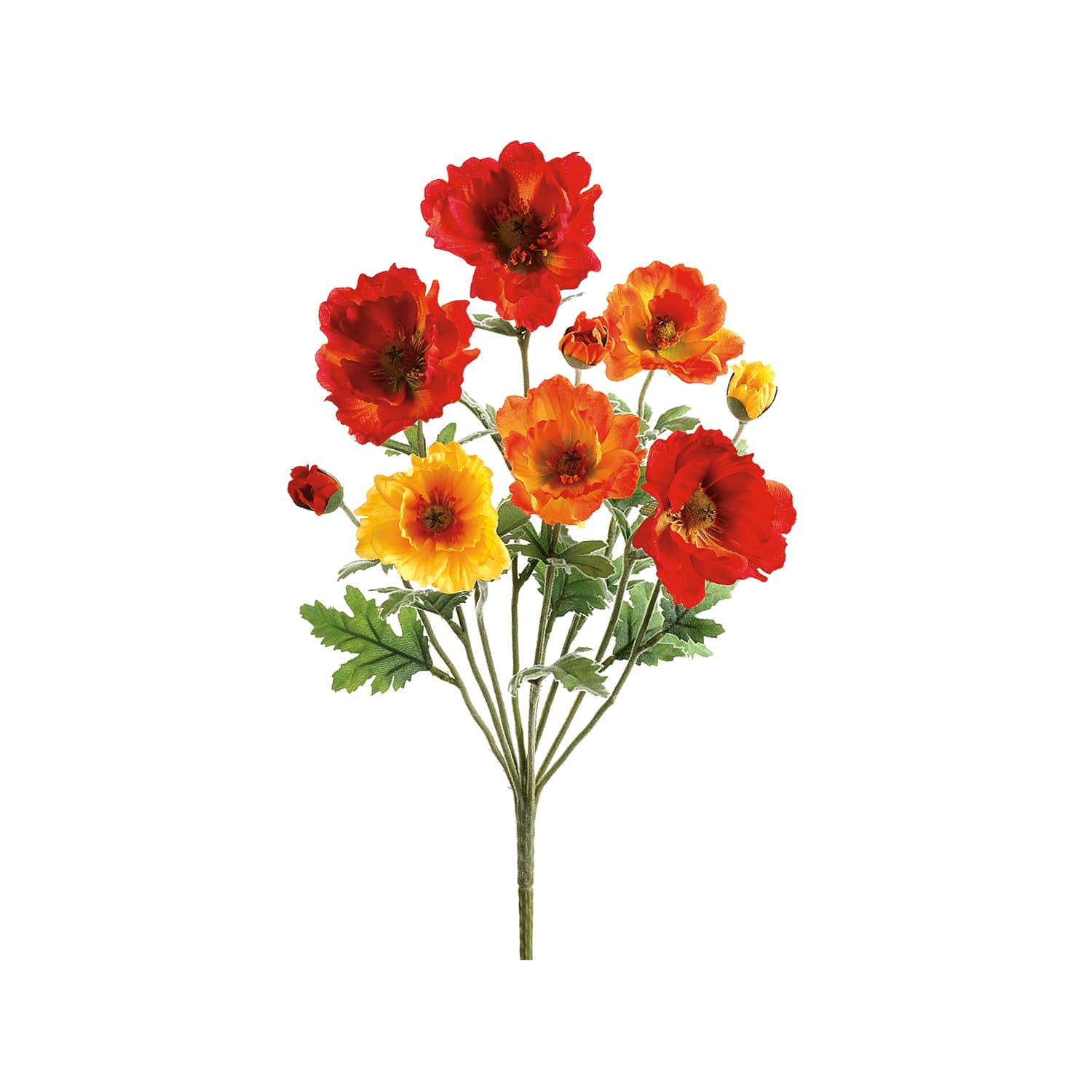 Red, Yellow & Orange Poppy Bush