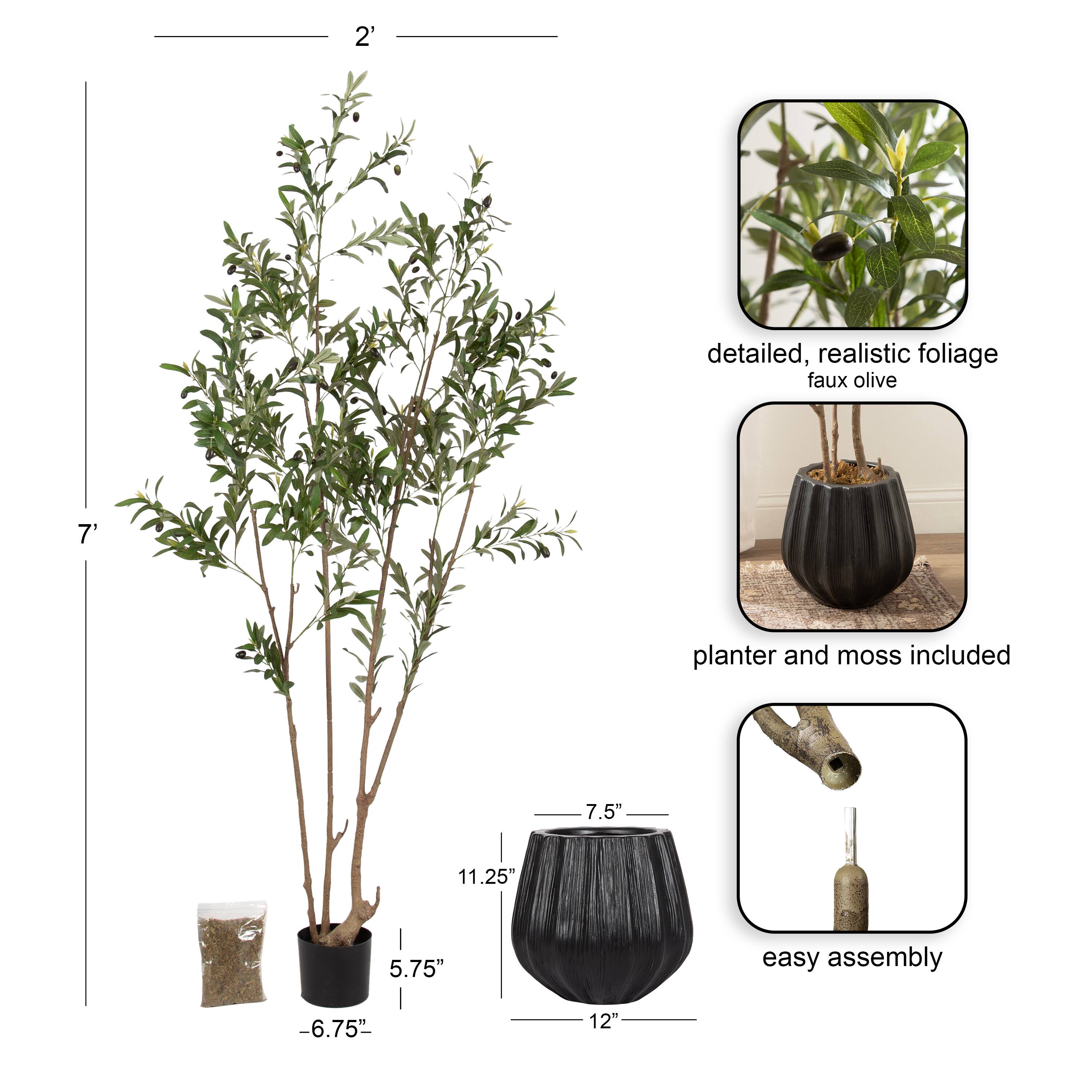 Kate and Laurel 7ft. Oliveira Faux Olive Tree with Claudel Scalloped Planter