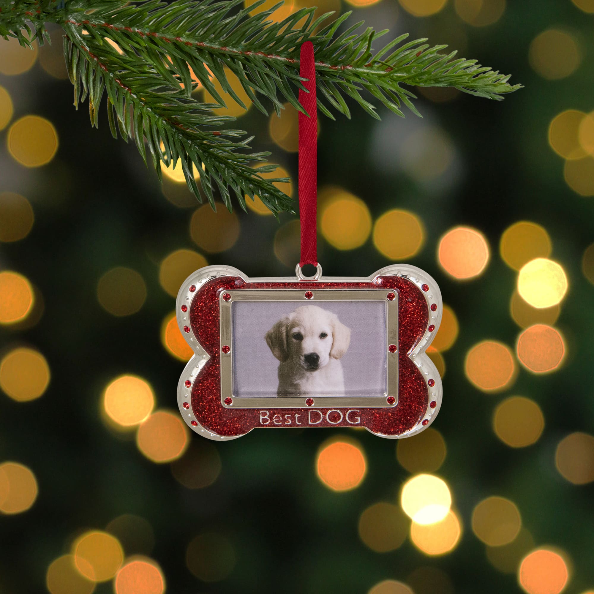 Red & Silver-Plated Best Dog Bone Frame Ornament with European Crystals