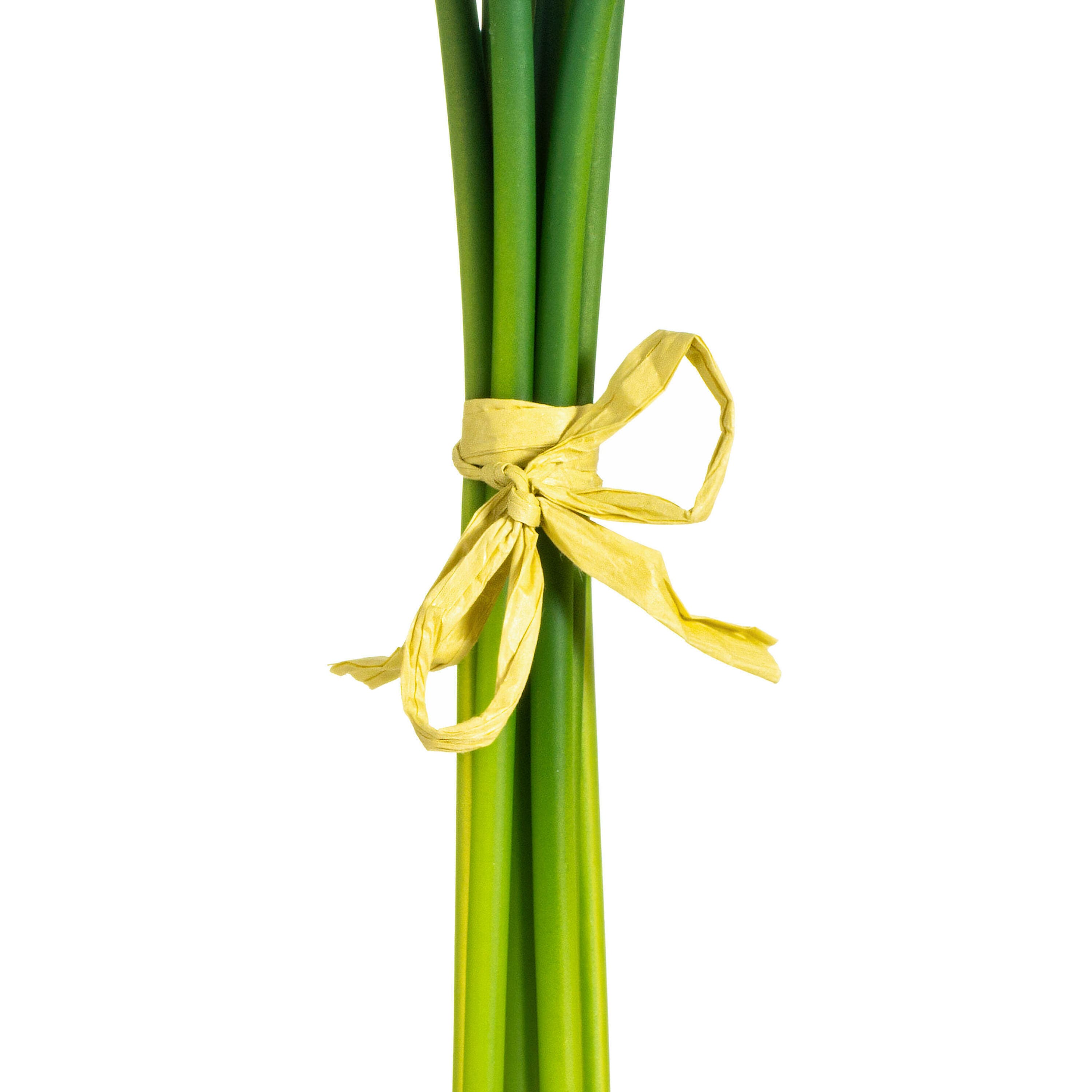 White Calla Lily Bundle