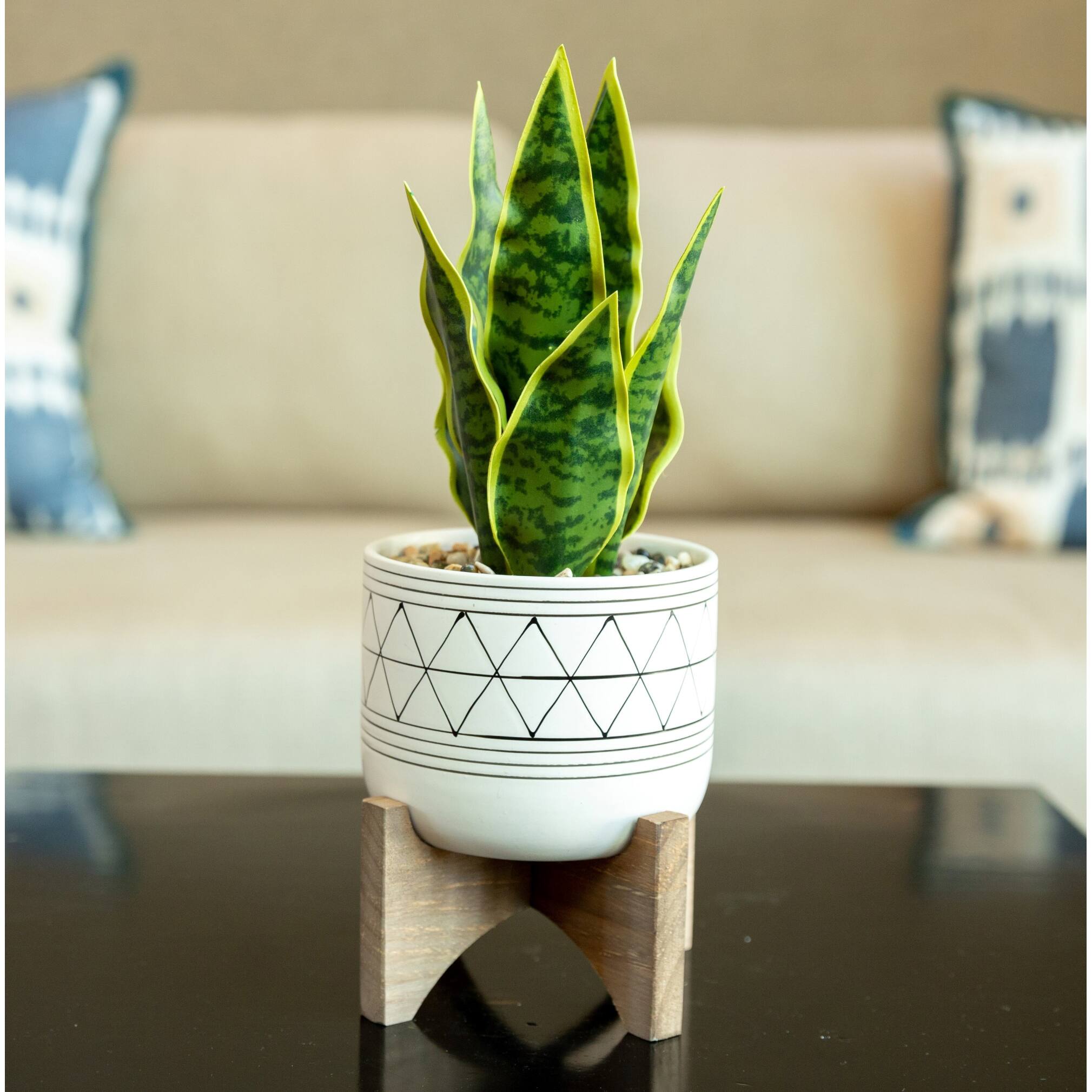 Flora Bunda 5" White & Black Geo Planter With Wood Stand