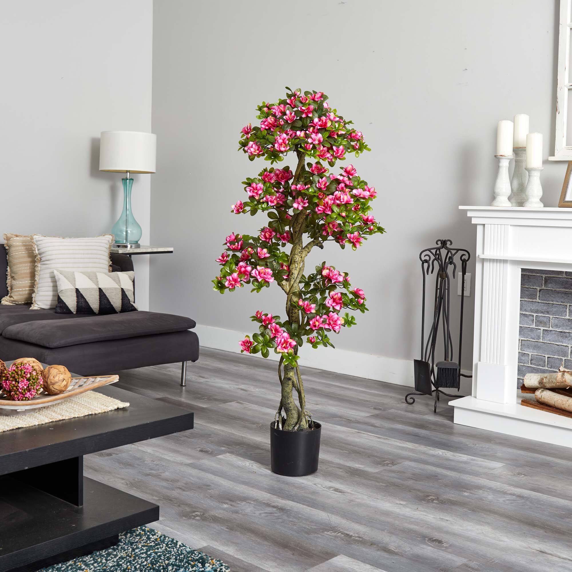 5ft. Potted Azalea Tree