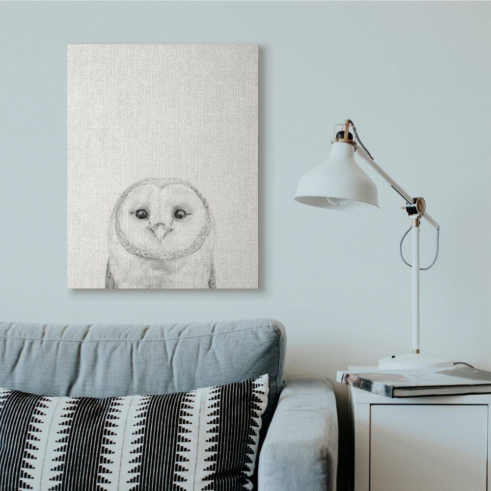 Stupell Industries Owl Portrait Grey Drawing Design Canvas Wall Art