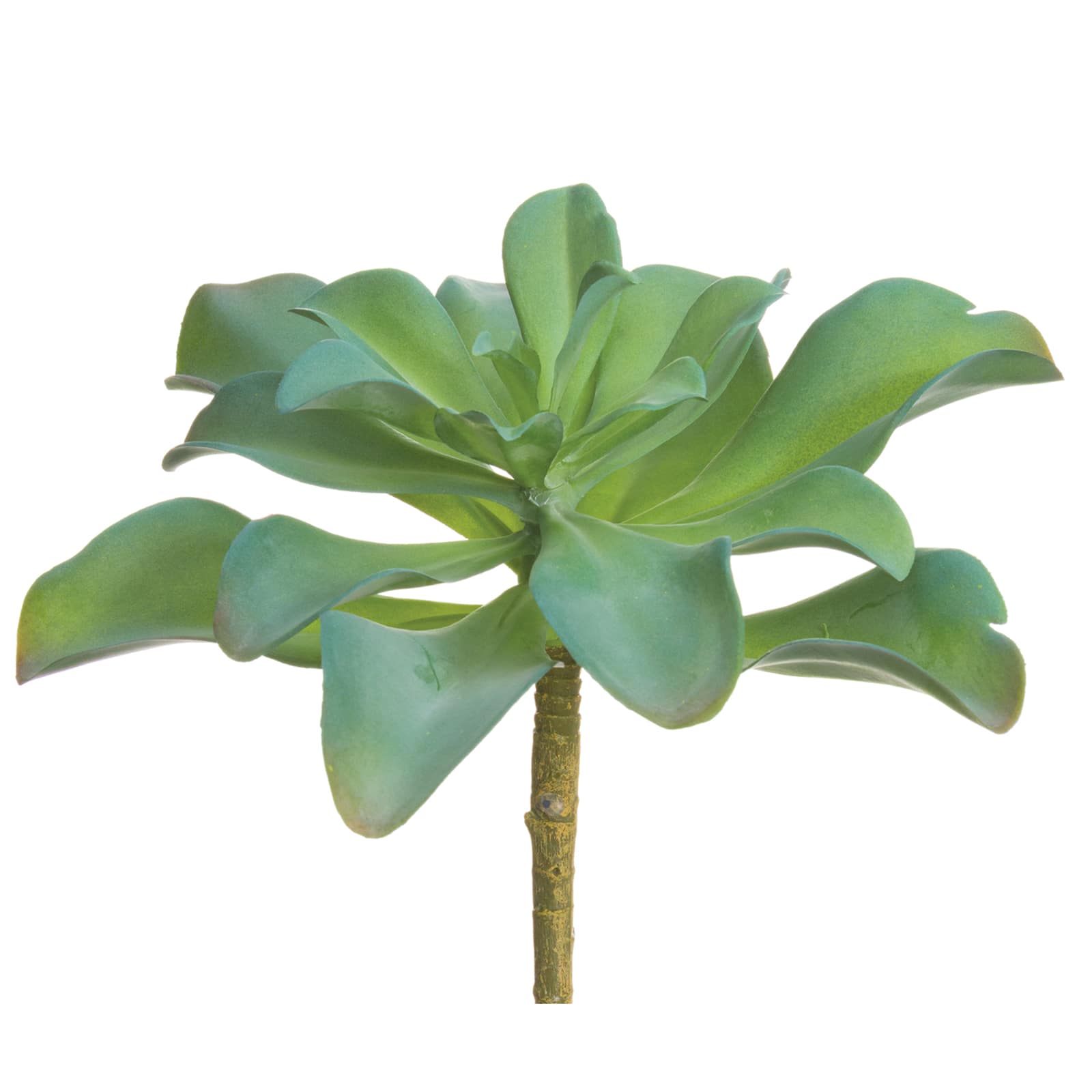 Green Kalanchoe Pick