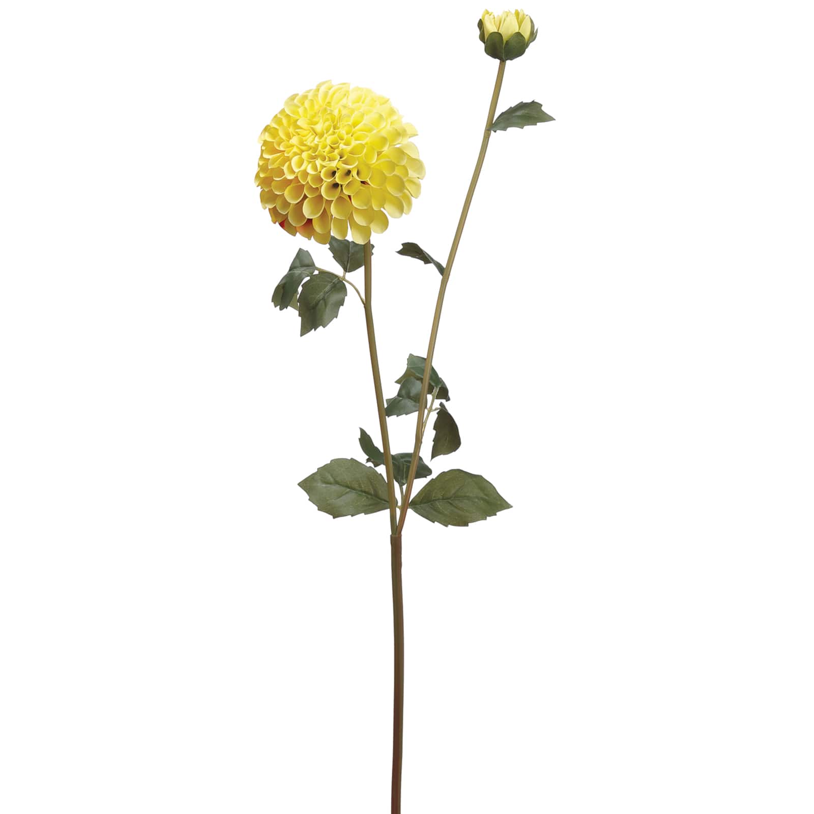 Yellow & Red Dahlia Spray 