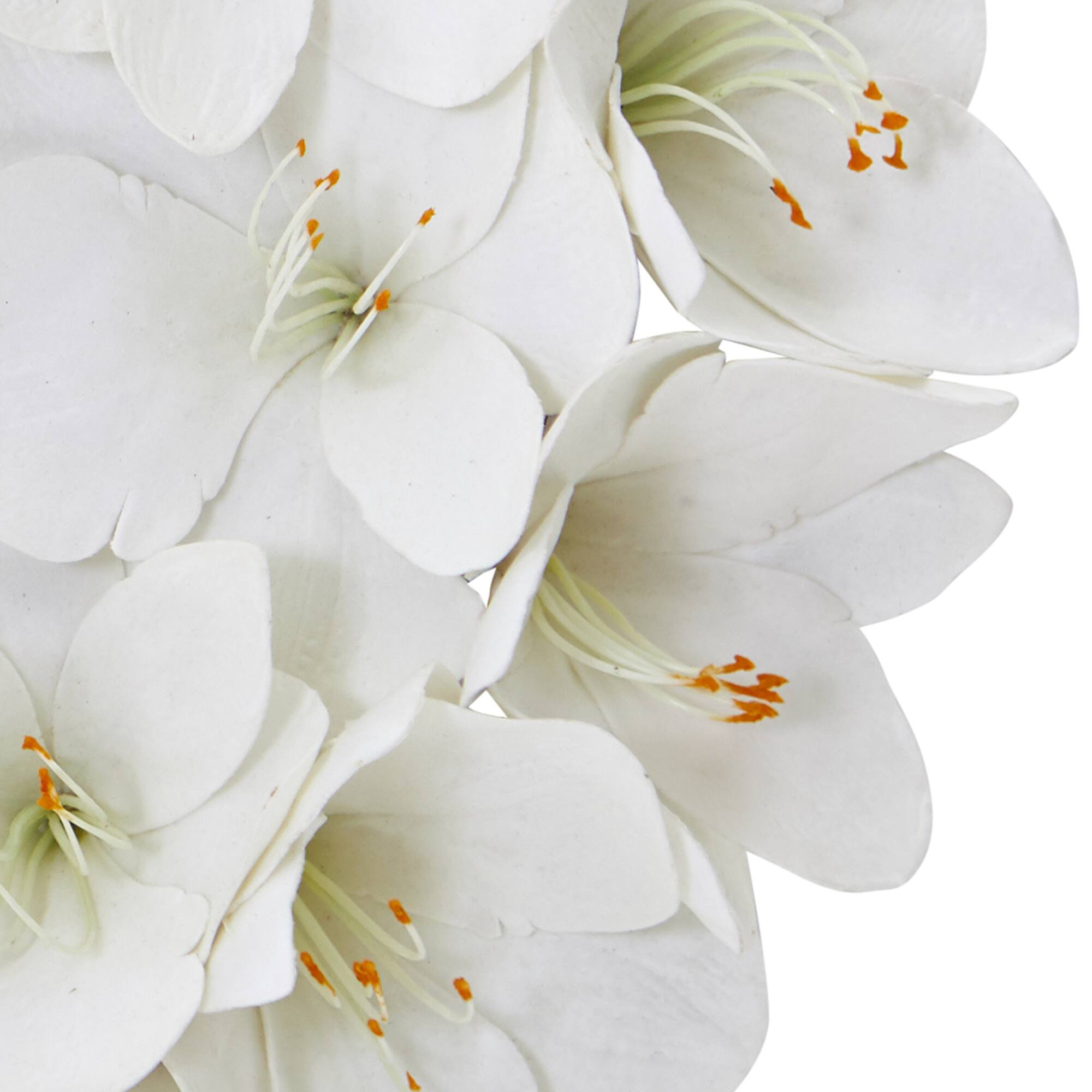 24'' White Amaryllis Wreath