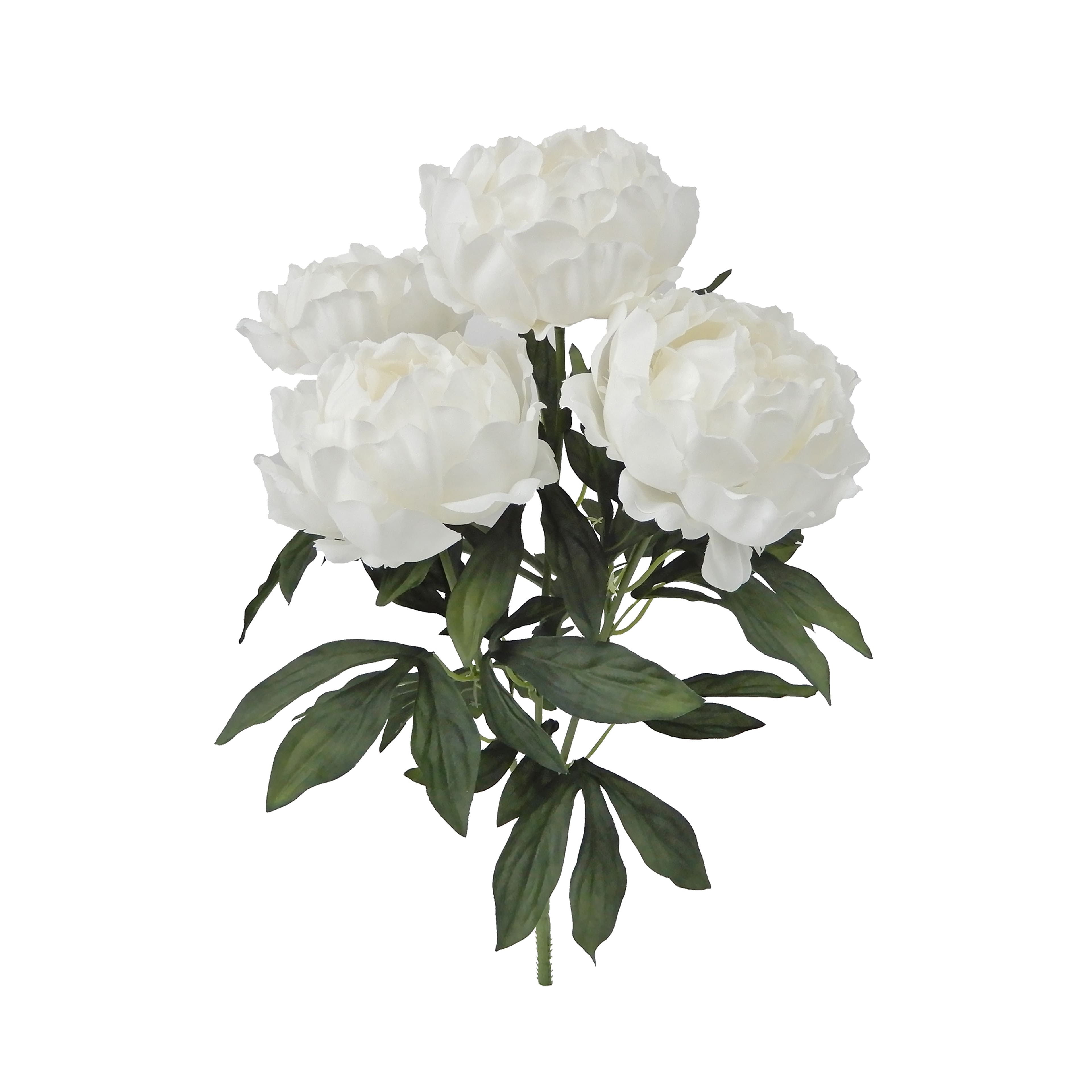 20" Peony Bush by Ashland