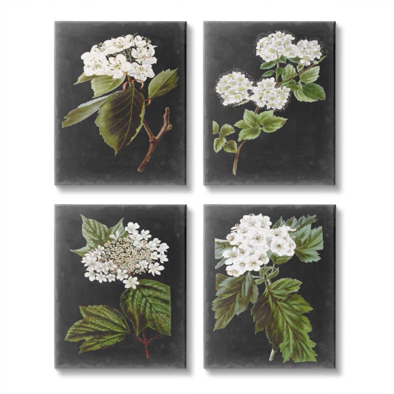 Stupell Industries Charming White Cottage Florals over Charcoal Gray Canvas Wall Art Set