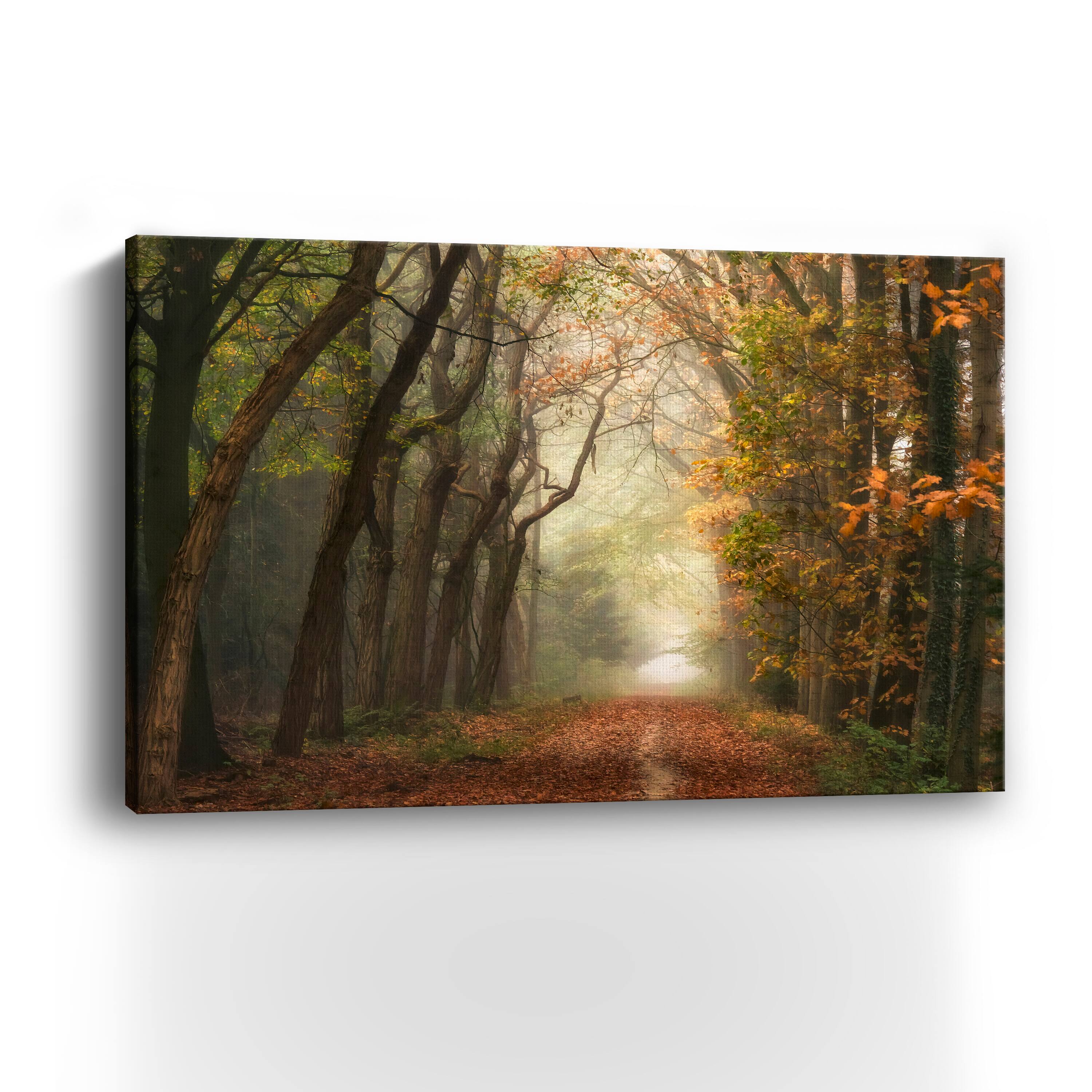 Path of Dreams Canvas Giclee