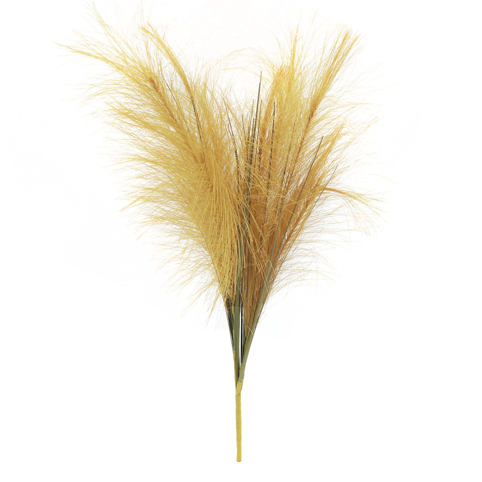 24" Pampas Grass Bush by Ashland