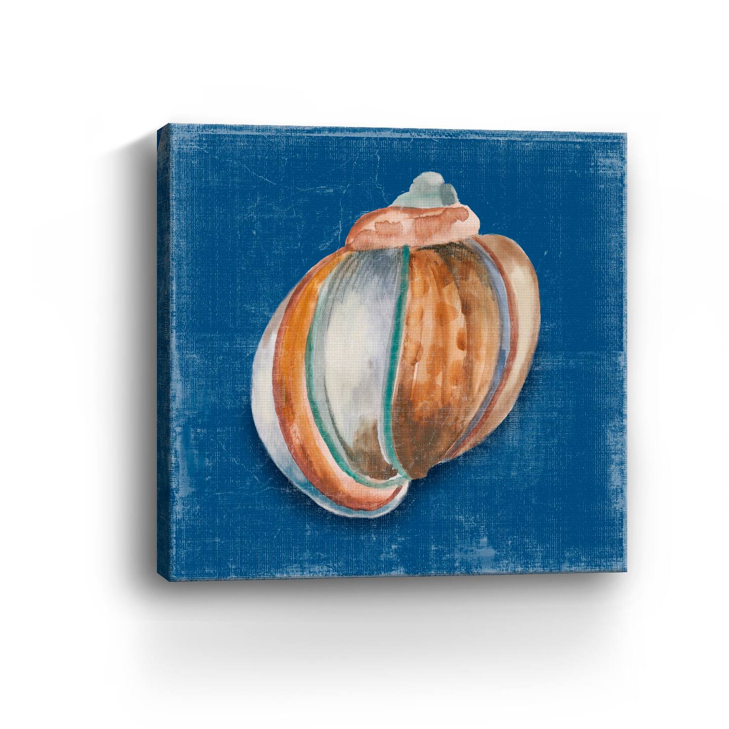 Rosecliff Shell II Canvas Giclee