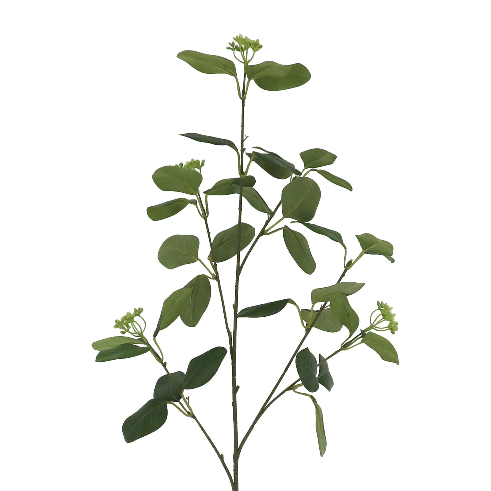 6 Pack: 37" Seeded Eucalyptus Stem by Ashland®