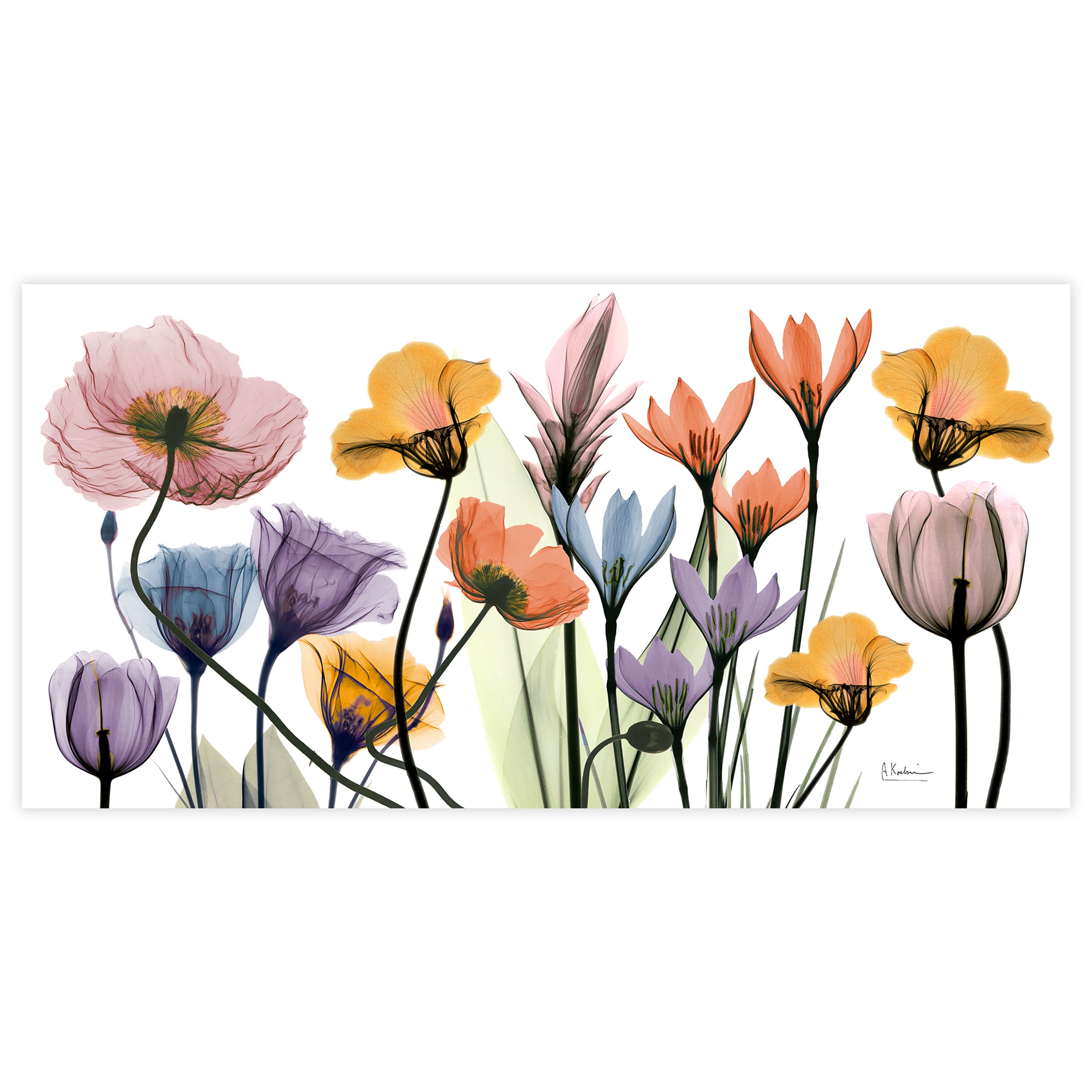 Empire Art Direct 24" x 48" Flowerscape Portrait Frameless Printed Tempered Glass Wall Art