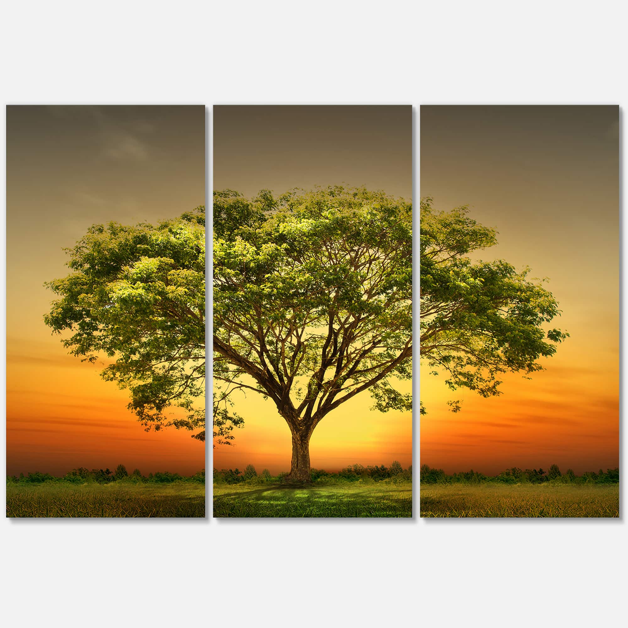 Designart - Green Tree against Setting Sun