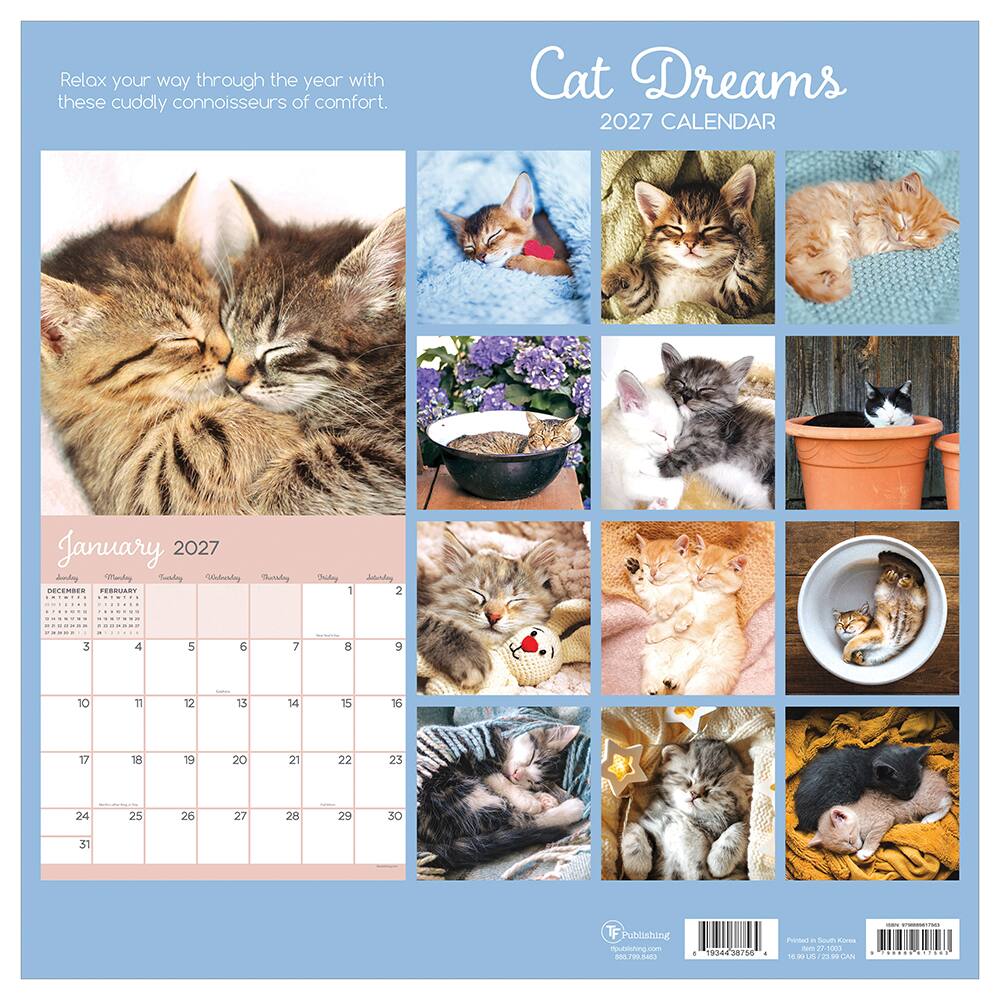 2027 Cat Dreams Wall Calendar