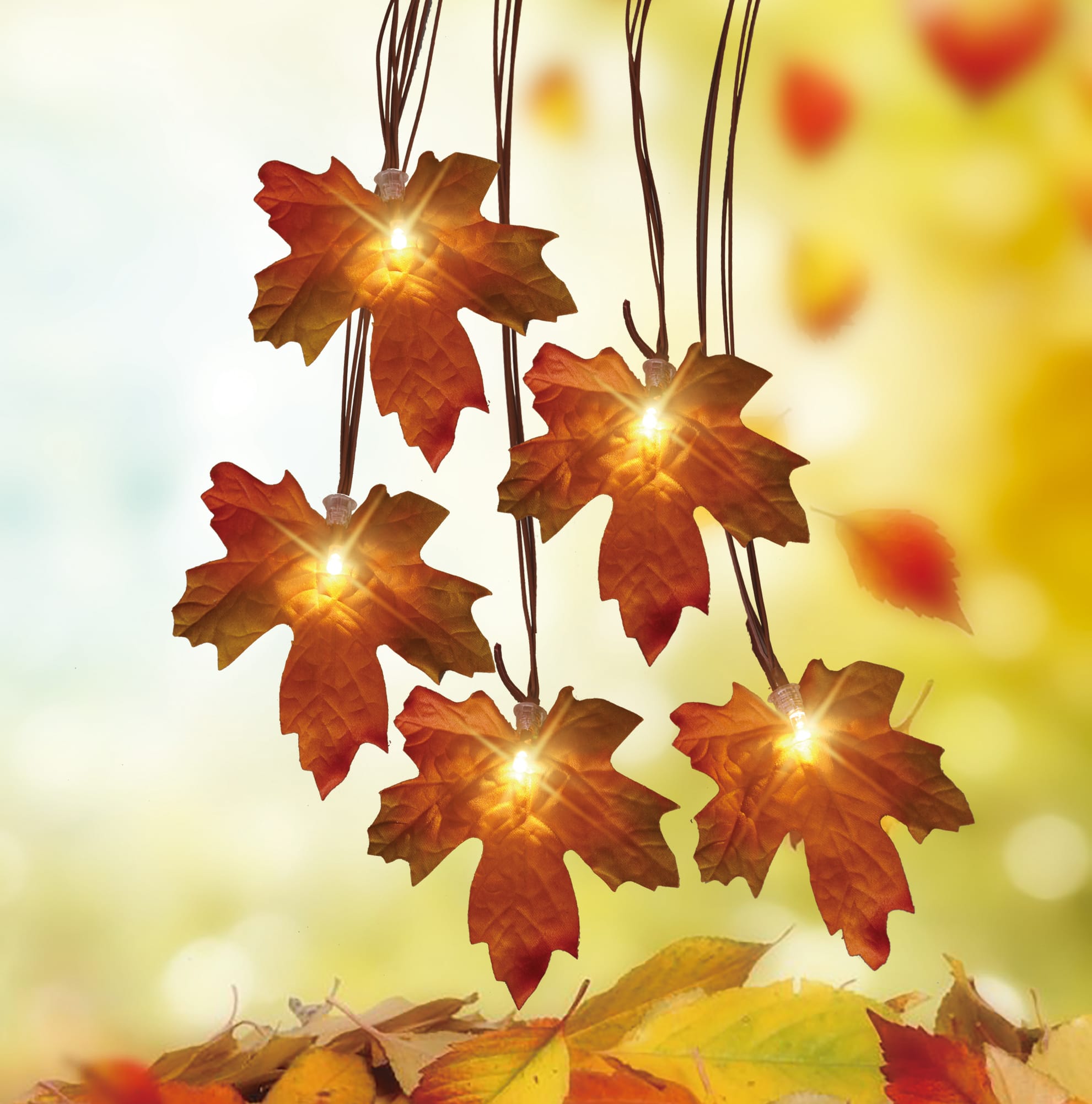 20ct. Warm White LED Maple Leaf Autumn Harvest String Lights