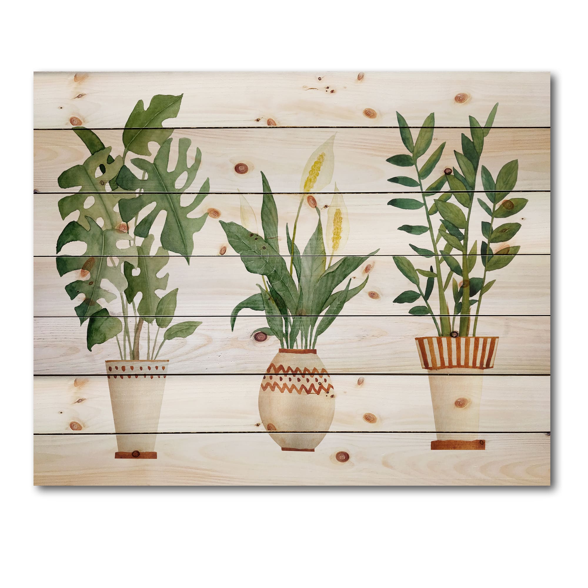Designart - Houseplant Monstera & Peace Lily In Terra Cotta - Farmhouse Print on Natural Pine Wood