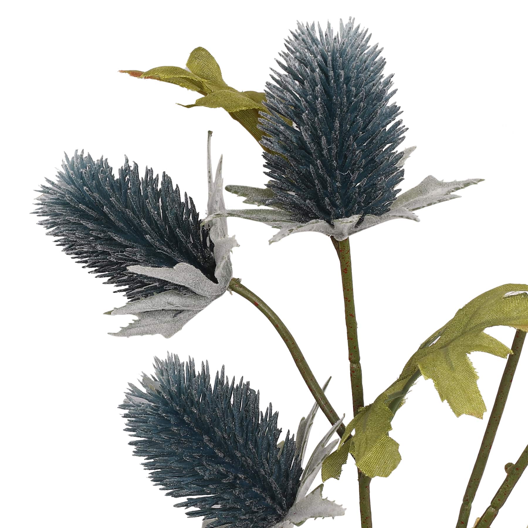 Blue Thistle Stem by Ashland®