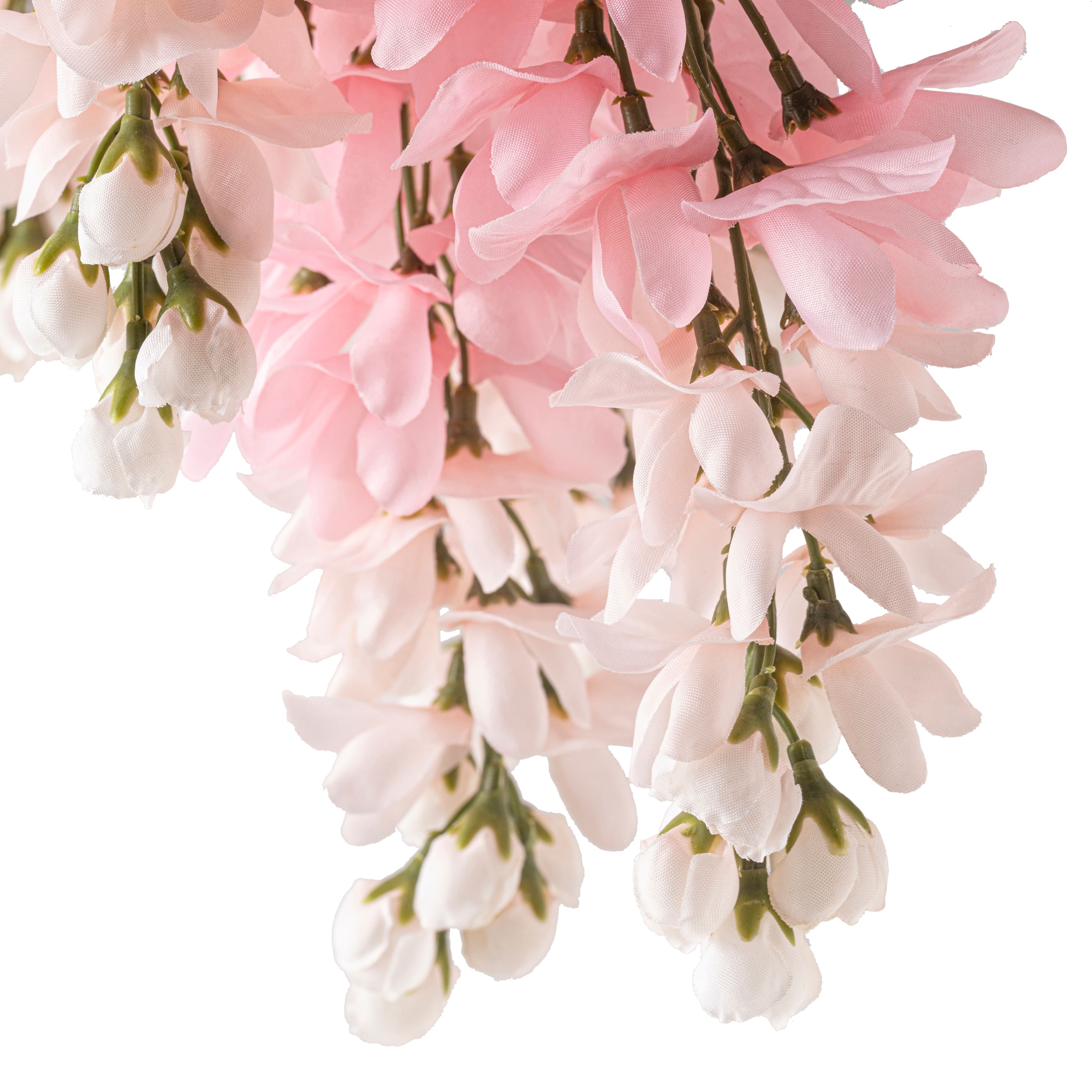 12 Pack: Pink Wisteria Bush by Ashland®