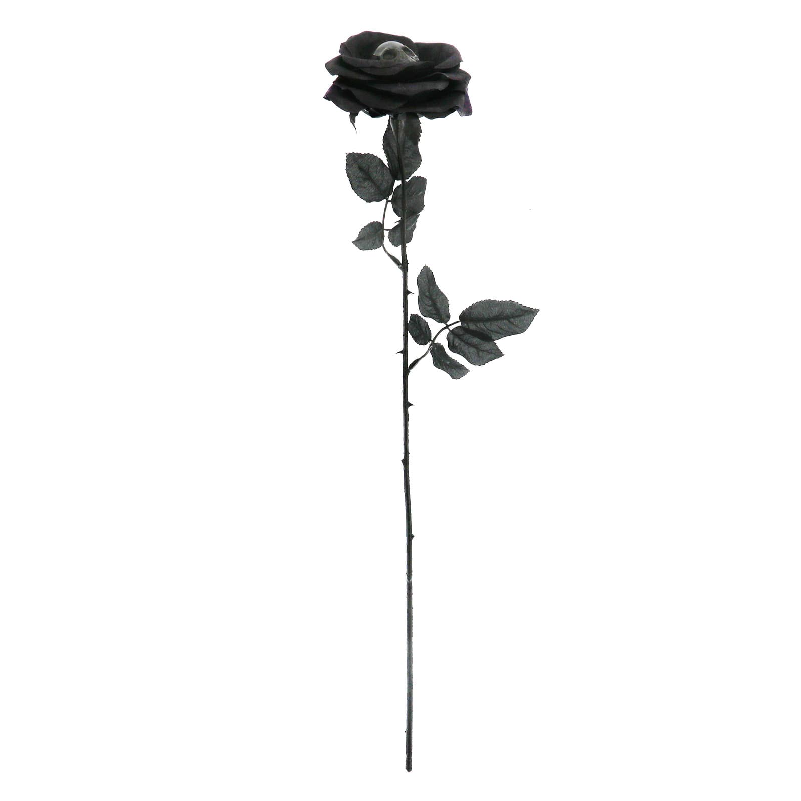26" Black Rose with Skull Stem by Ashland®