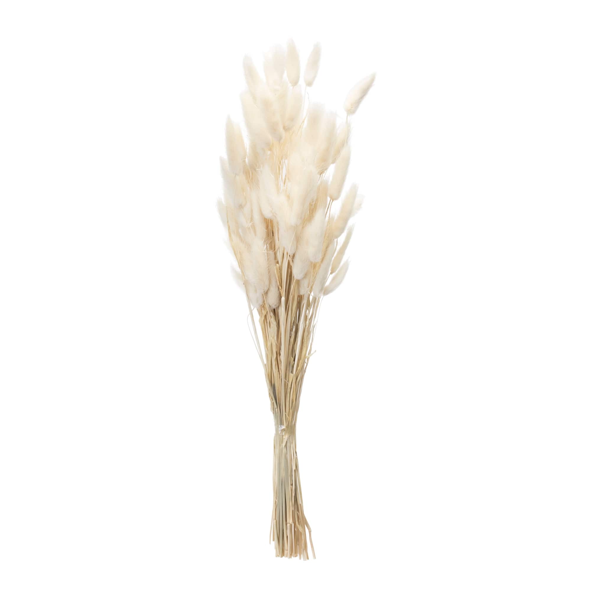 32.5" Bunny Tail Bundle, 2ct.