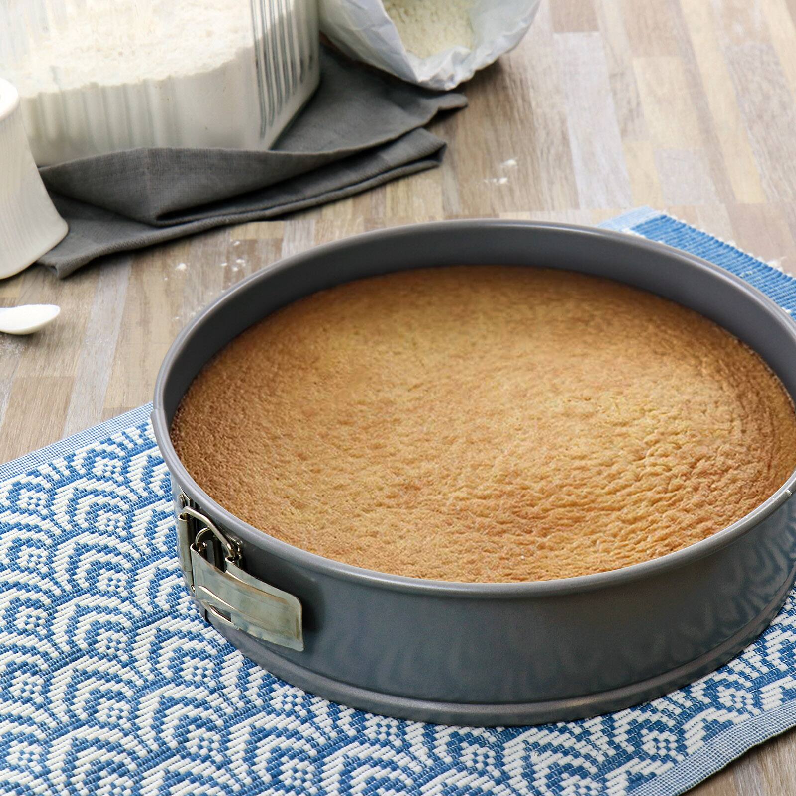 Martha Stewart 10" Carbon Steel Springform Pan