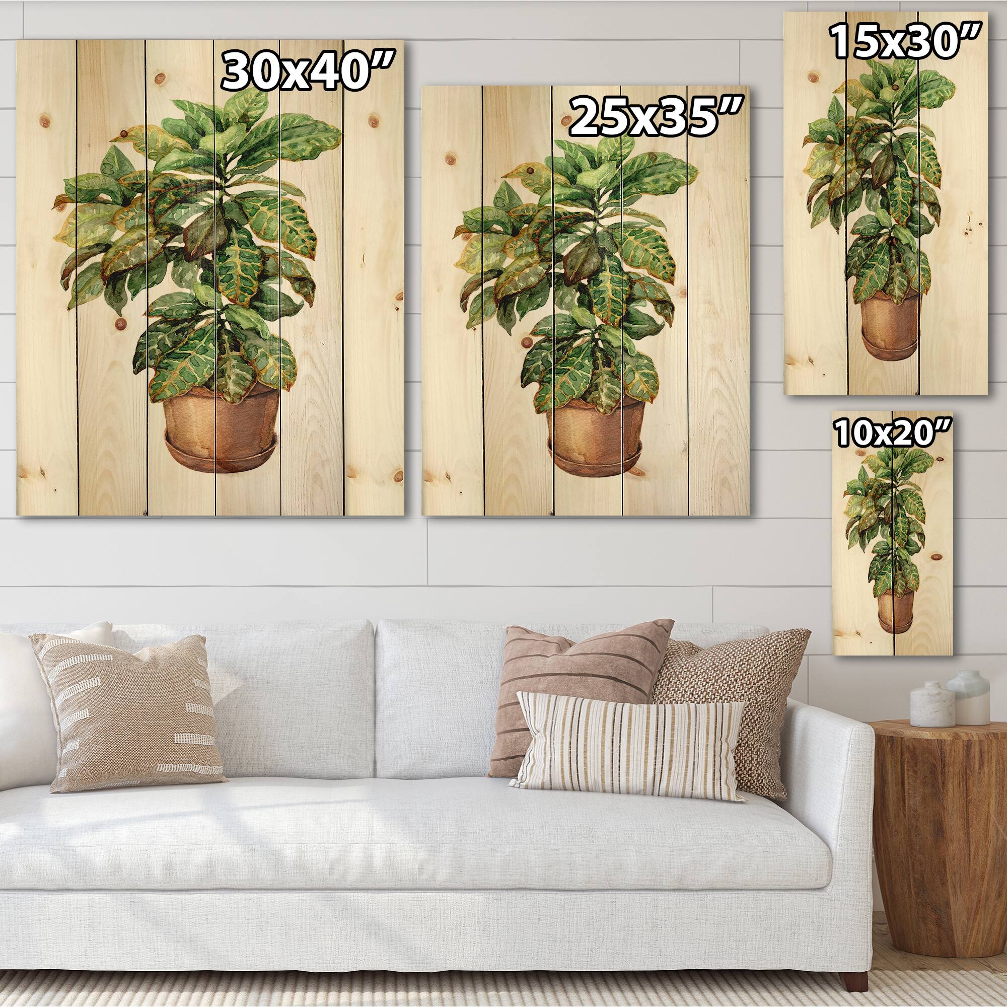 Designart - Croton In Clay Flowerpot - Traditional Print on Natural Pine Wood