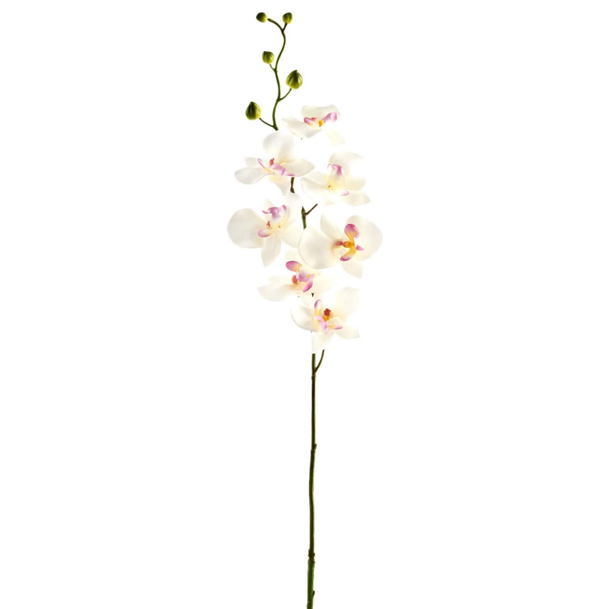 12 Pack: Cream & Pink Orchid Spray by Ashland®