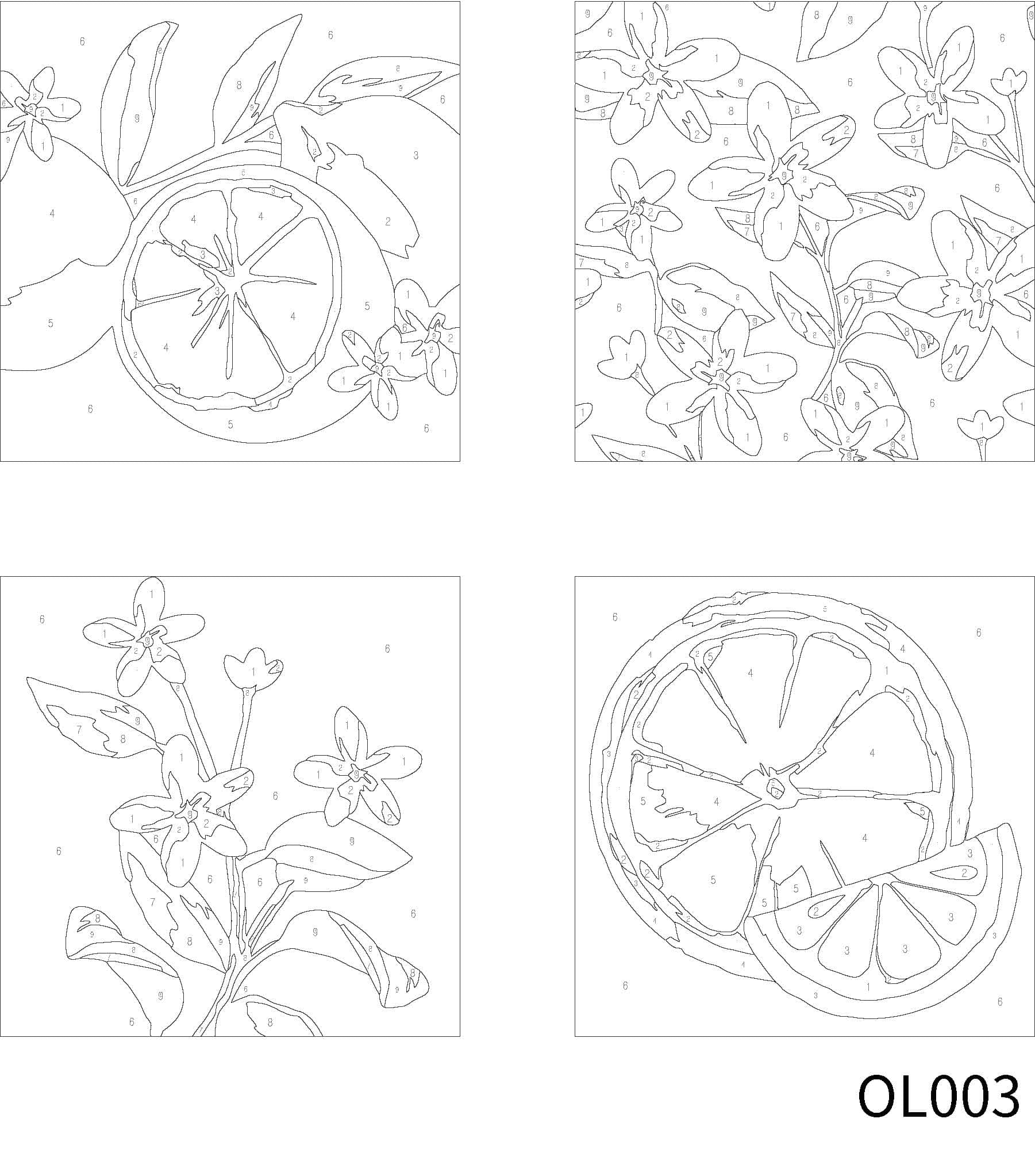 Citrus Paint-by-Number Gallery Mini Kit by Artist's Loft®