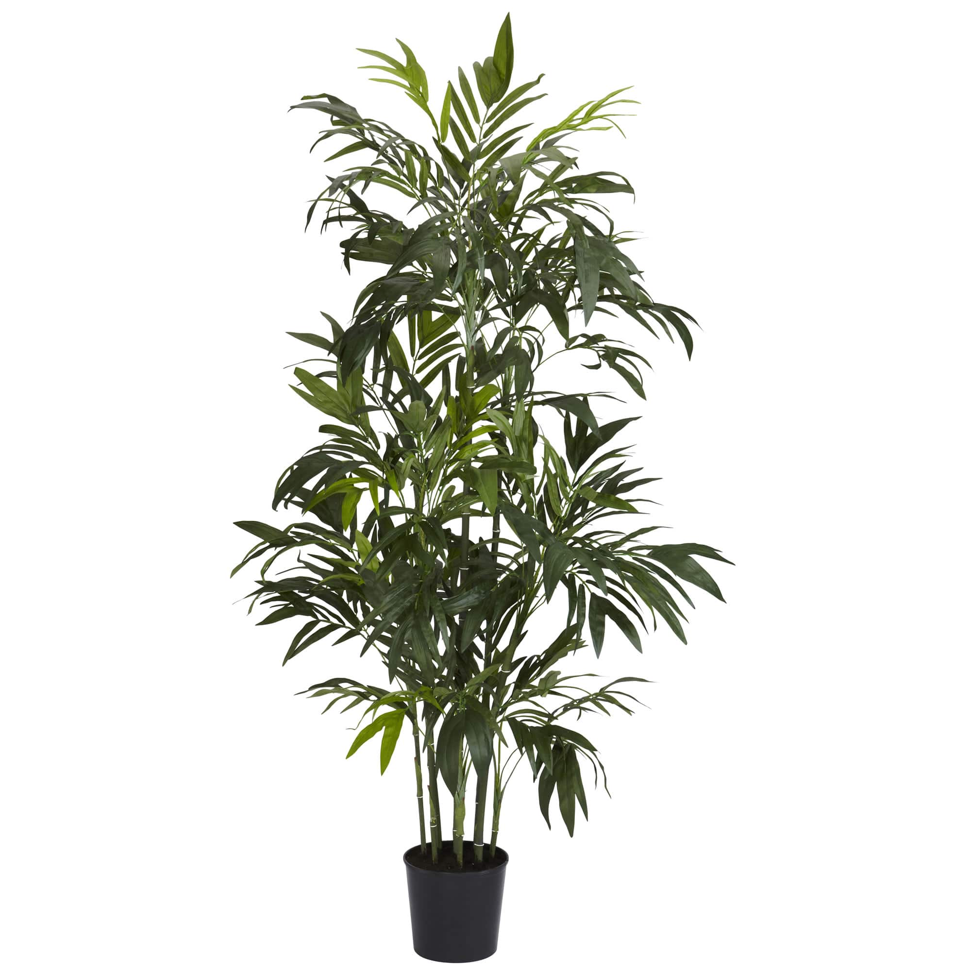 6ft. Potted Bamboo Palm Silk Tree