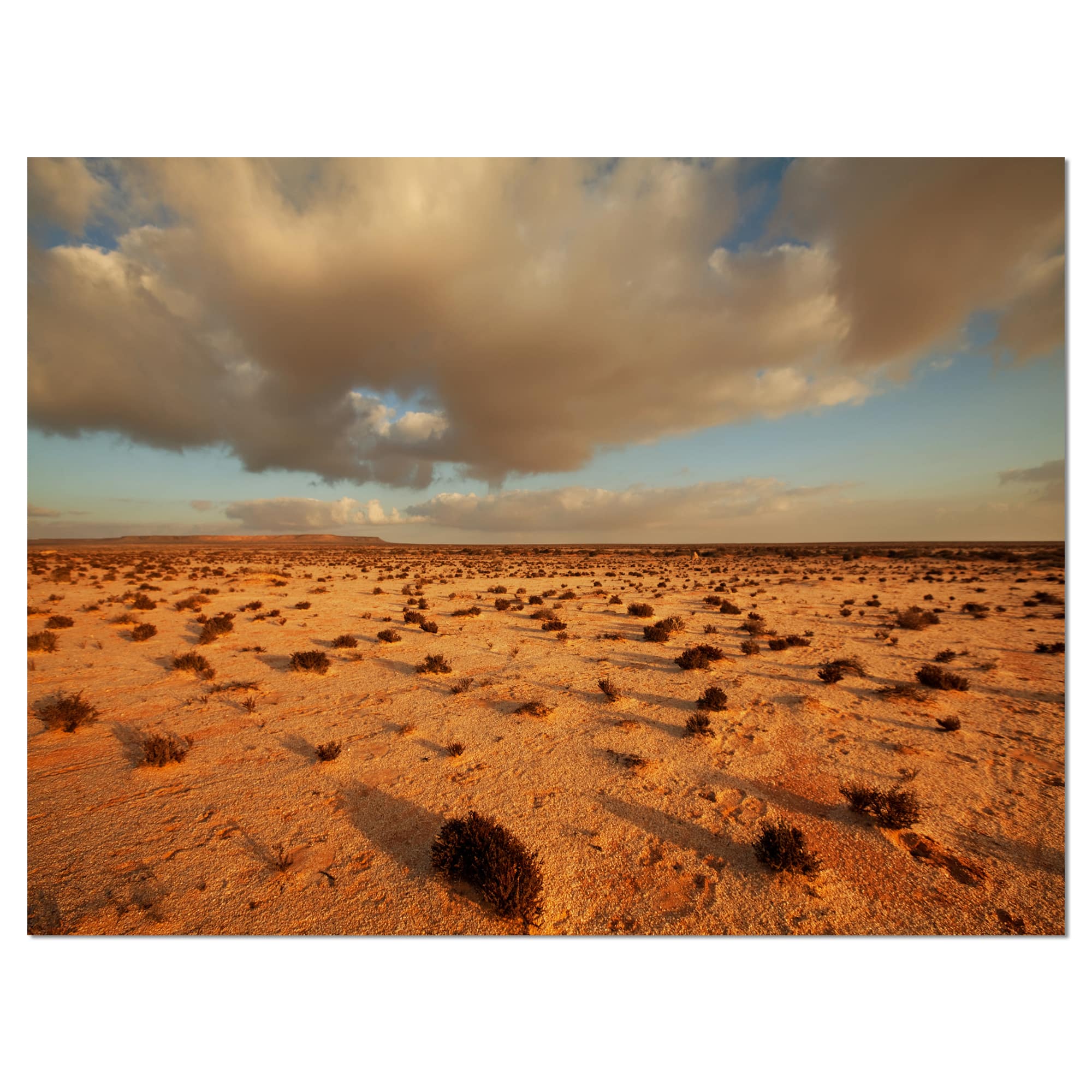 Designart - Desert in Western Sahara - Landscape Canvas Art Print