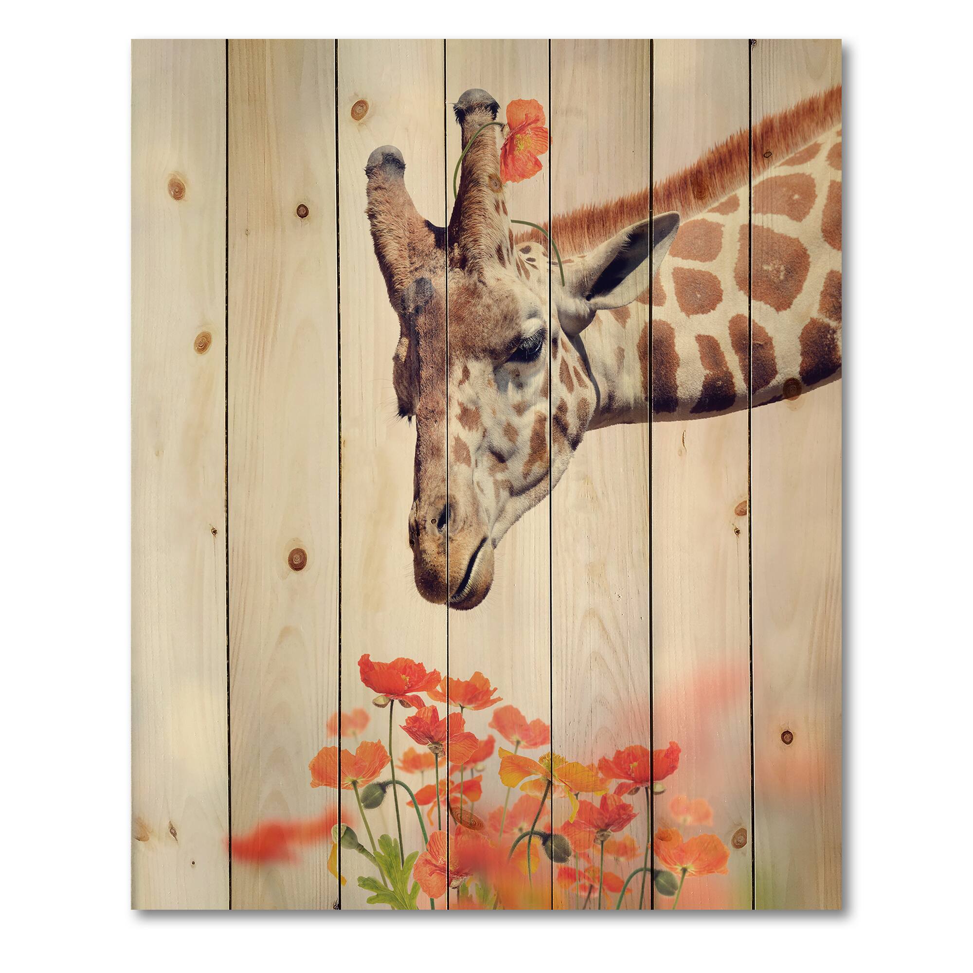Designart - Portrait of A Giraffe II - Farmhouse Print on Natural Pine Wood