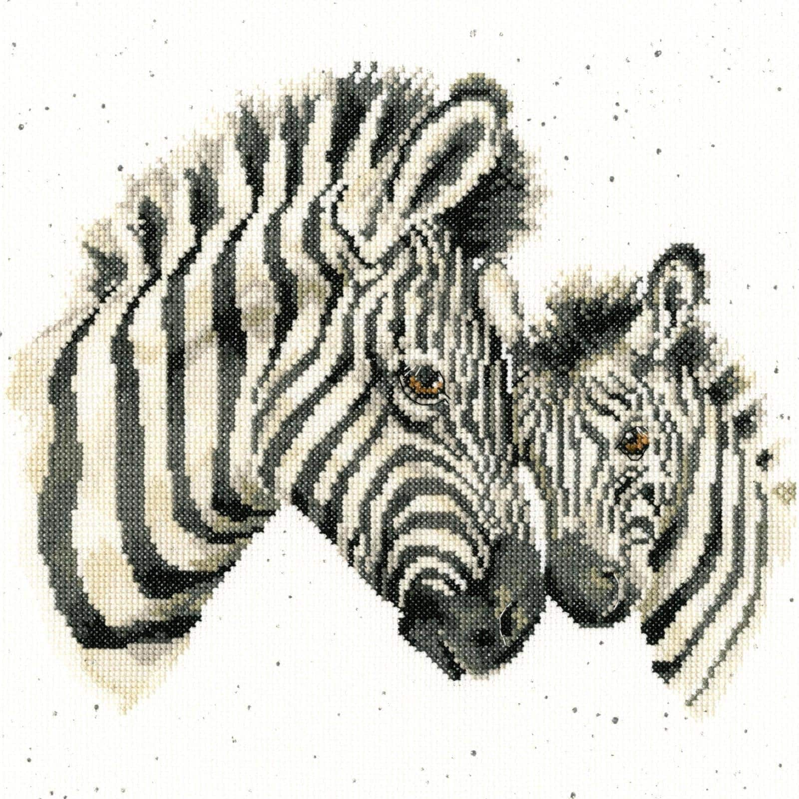 Bothy Threads Racing Stripes Counted Cross Stitch Kit