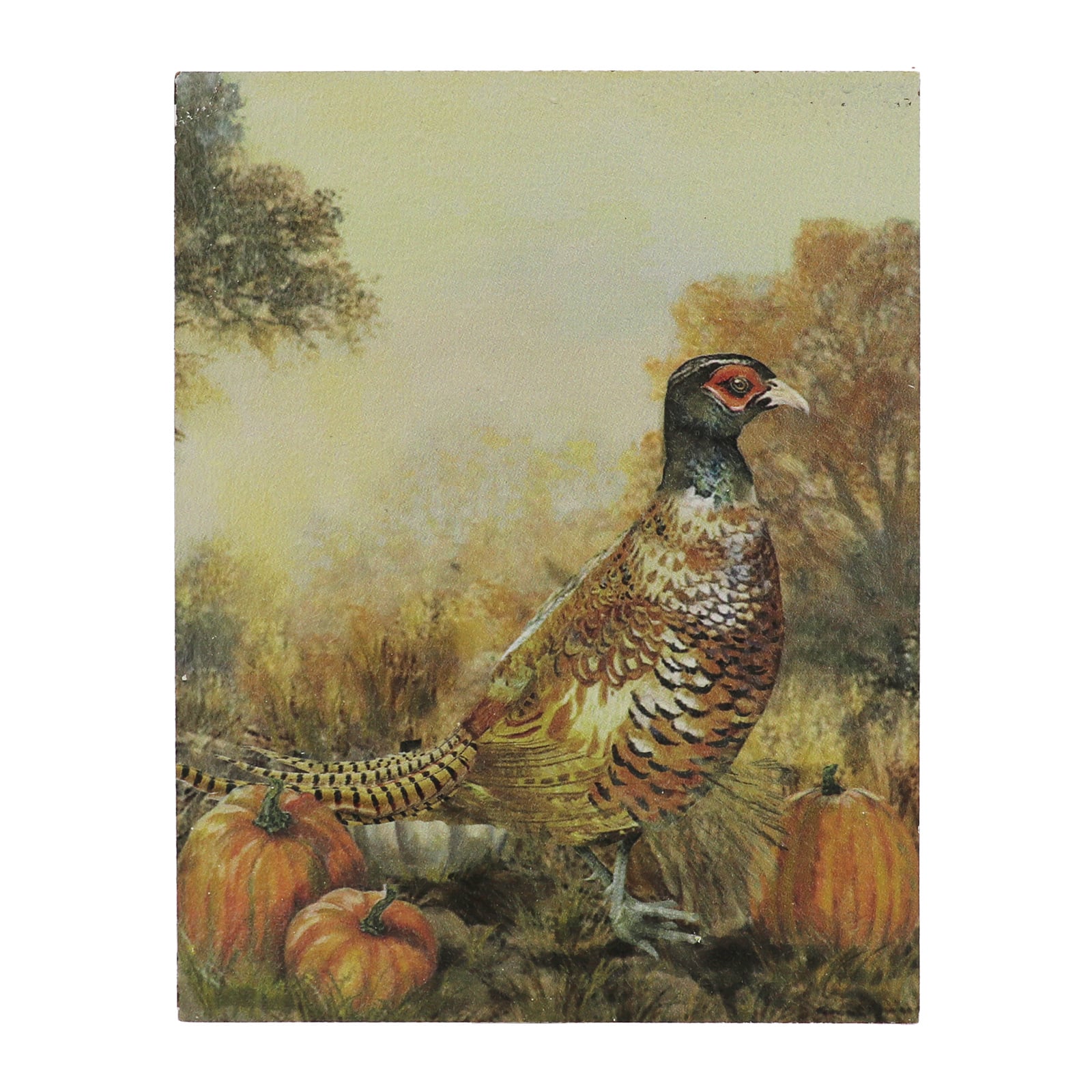 9" Phesant with Pumpkins Block Tabletop Décor by Ashland®