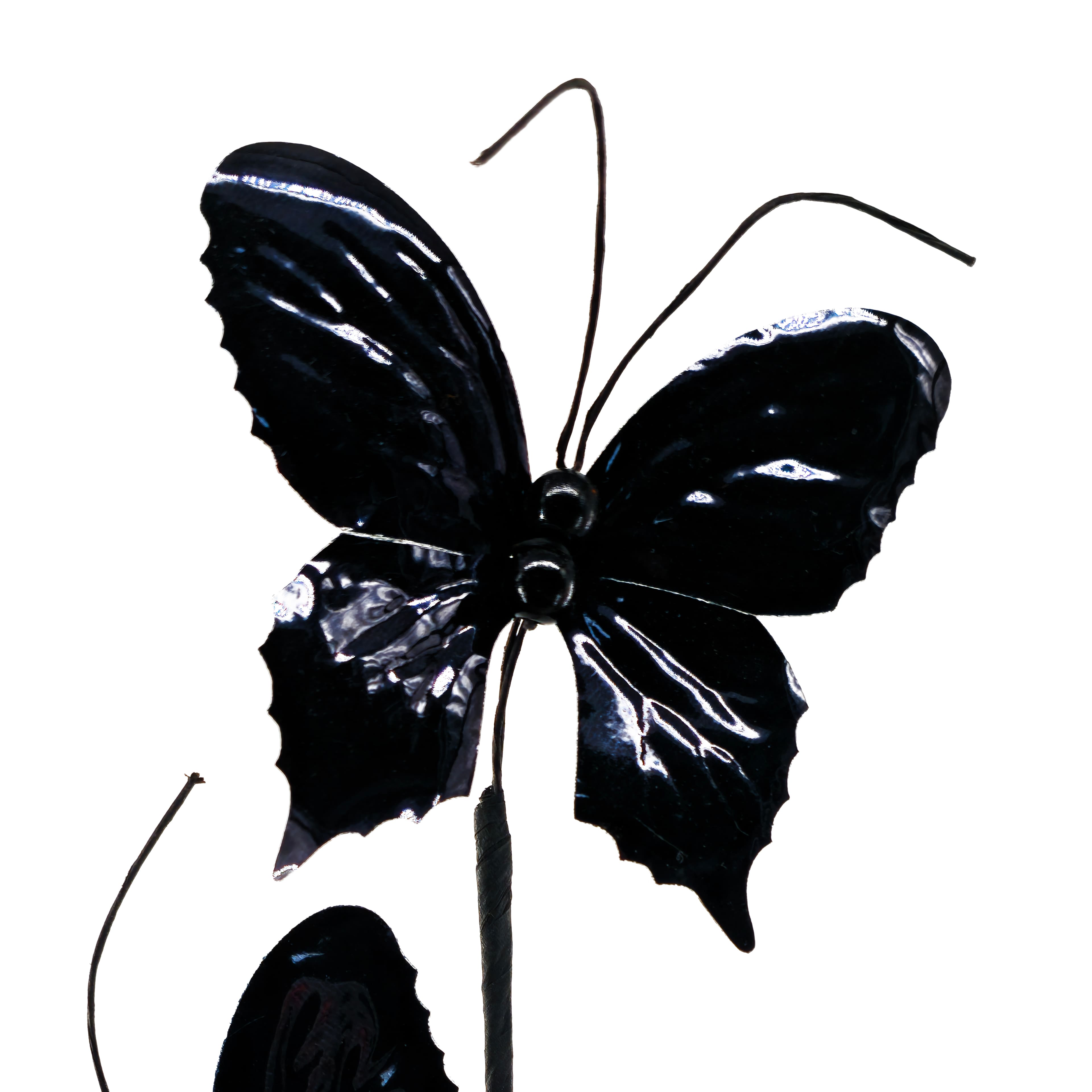 12" Black Butterfly Pick by Ashland®
