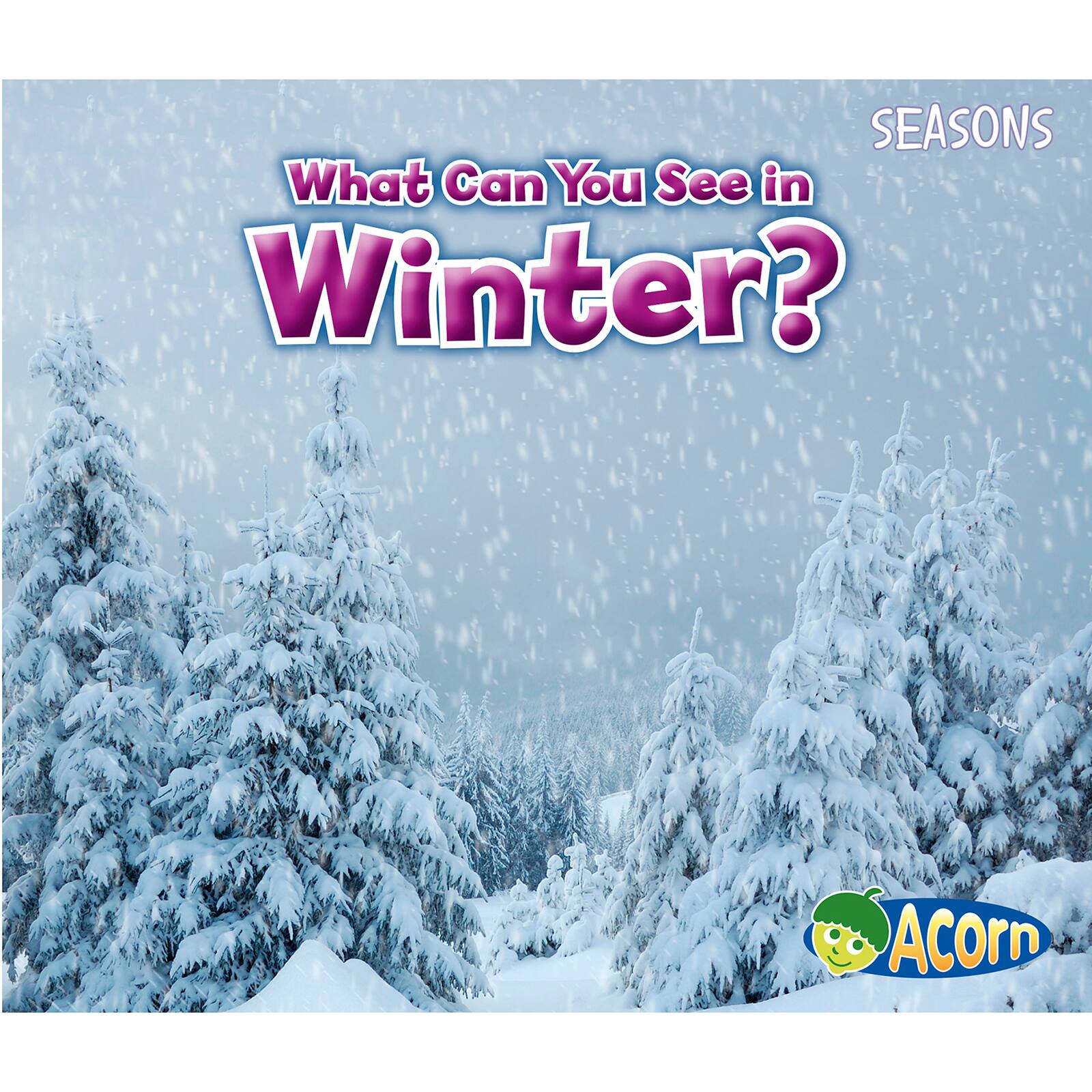 Capstone Press Seasons 4 Book Set