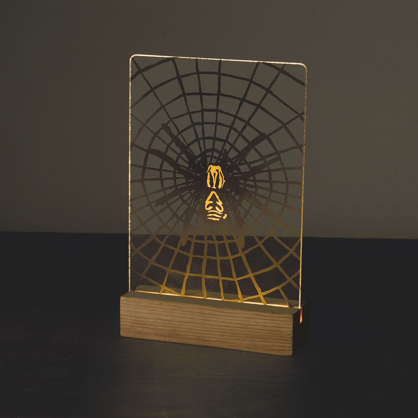 Light Up Spider Paint-by-Number Acrylic Surface Kit by Artist's Loft®