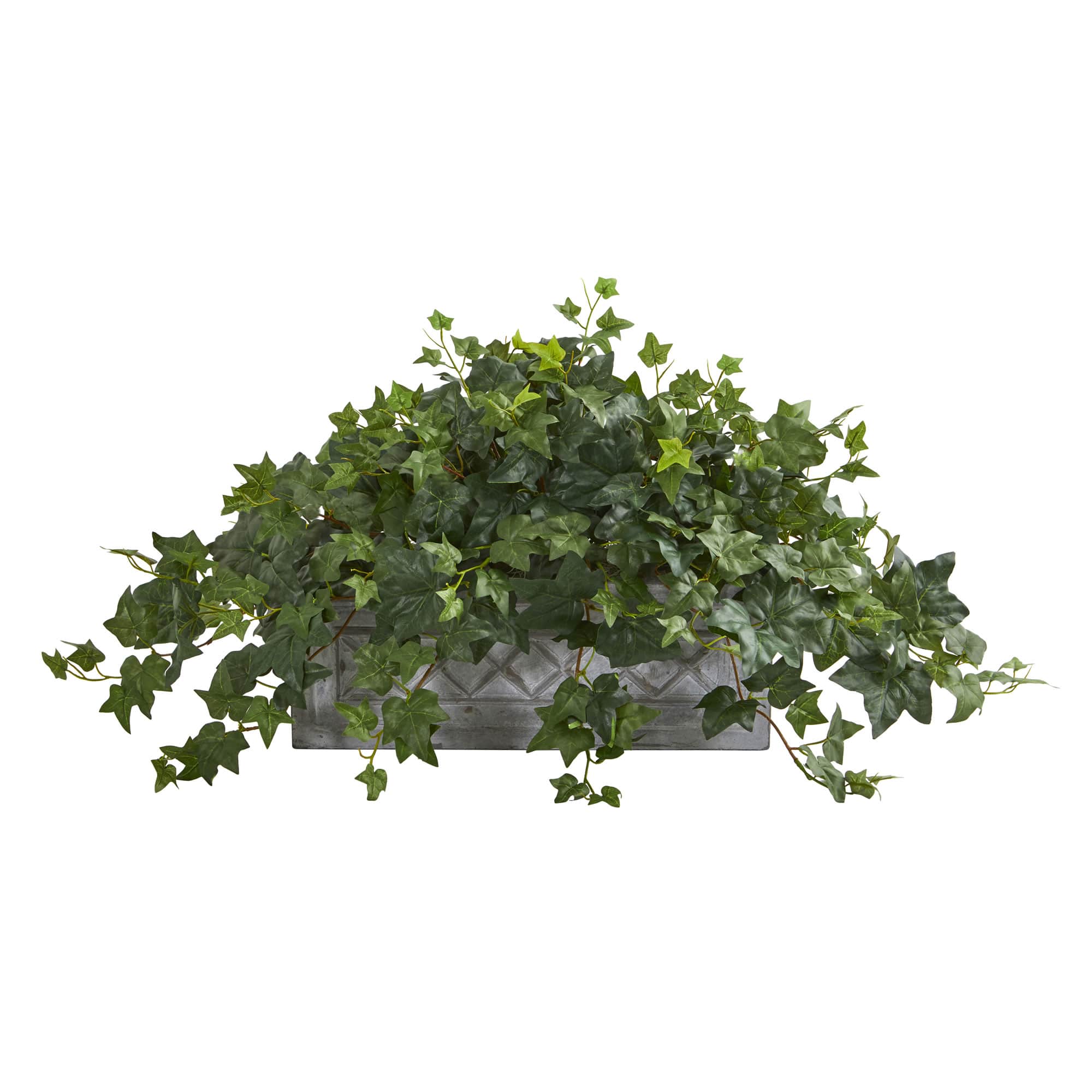 20" Puff Ivy Plant in Stone Planter