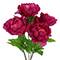 21" Peony Bush by Ashland®