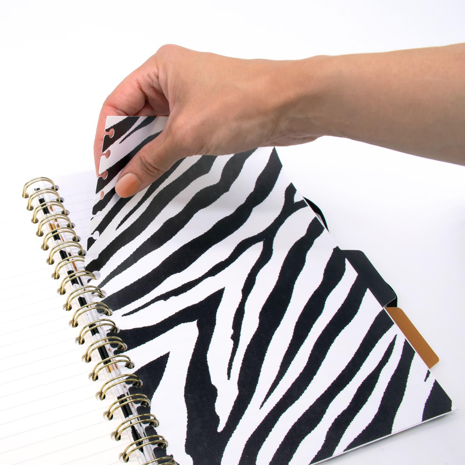 Pukka Pads B5 Wild Project Book Set