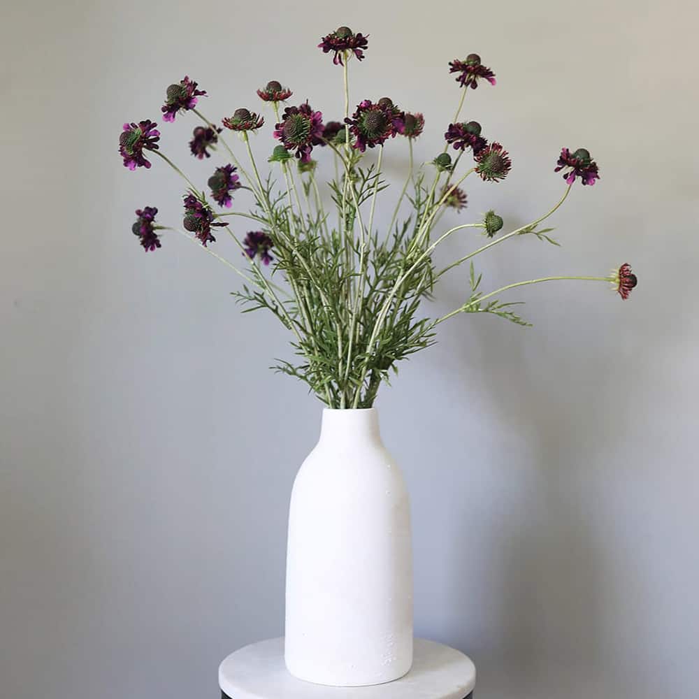 Prestige Botanicals 29" Artificial Violet Scabiosa Wildflower Stem