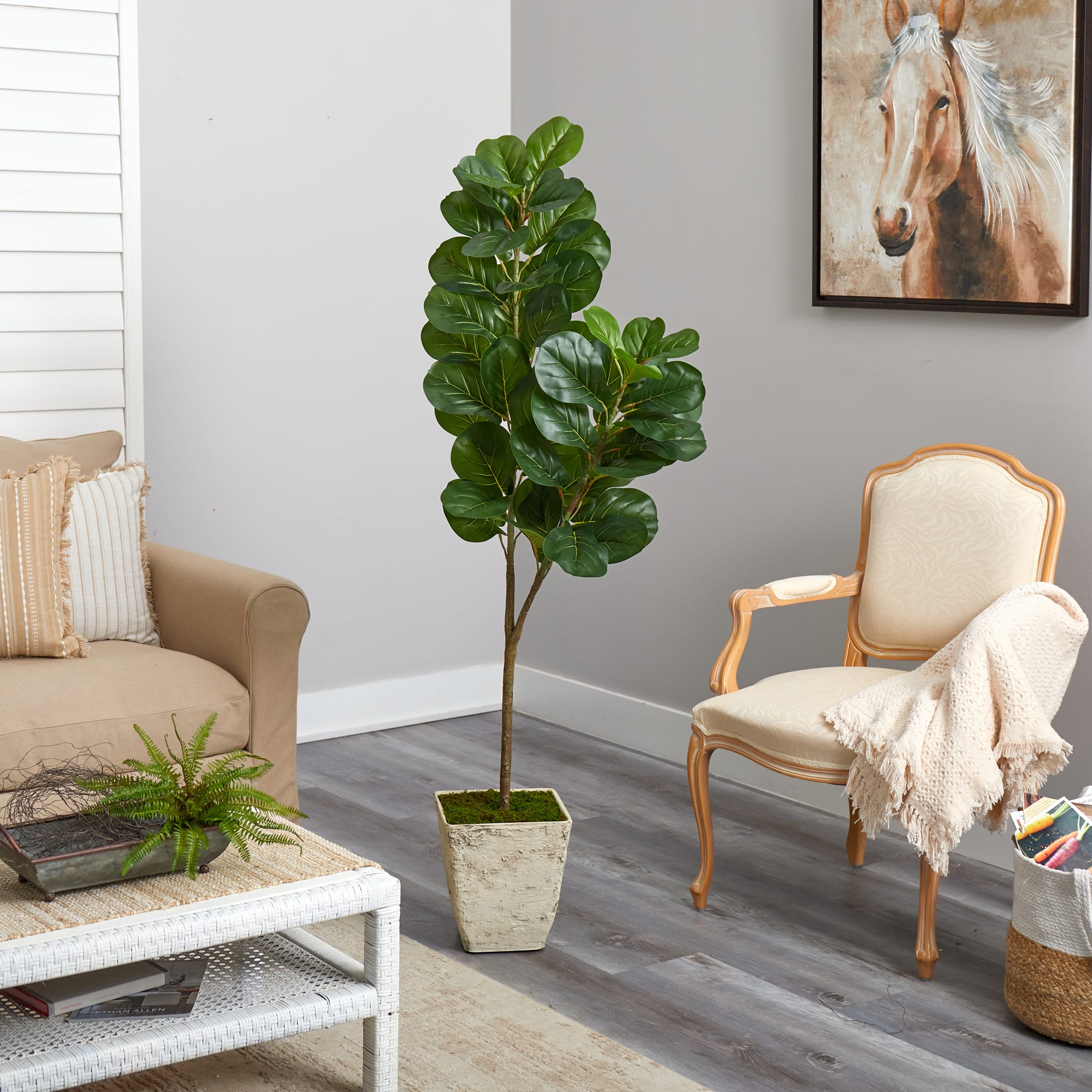 5.5ft. Fiddle leaf Fig Artificial Tree in Country White Planter