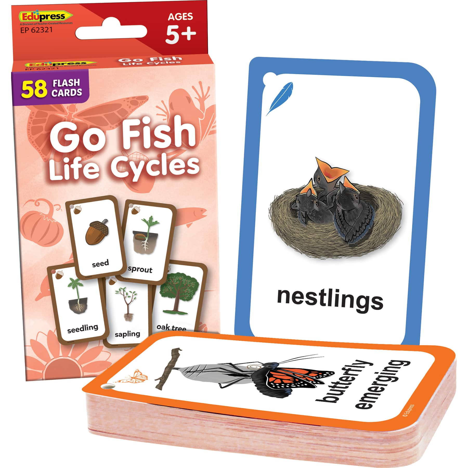 Edupress™ Go Fish Life Cycles Flash Cards, 6 Packs of 58