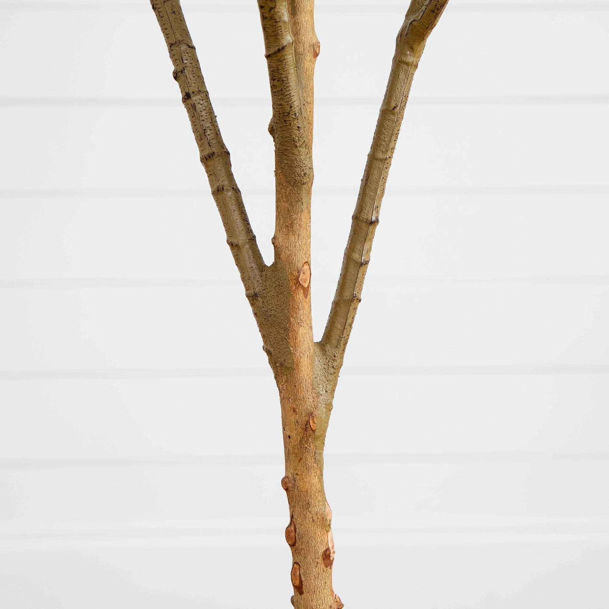 6ft. Potted Artificial Olive Tree with Natural Trunk