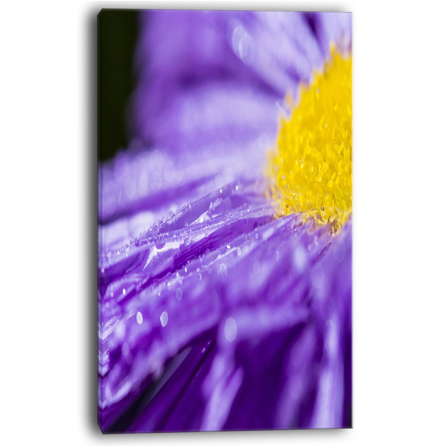 Designart - Large Violet Flower Petal Close up - Large Flower Canvas Wall Art