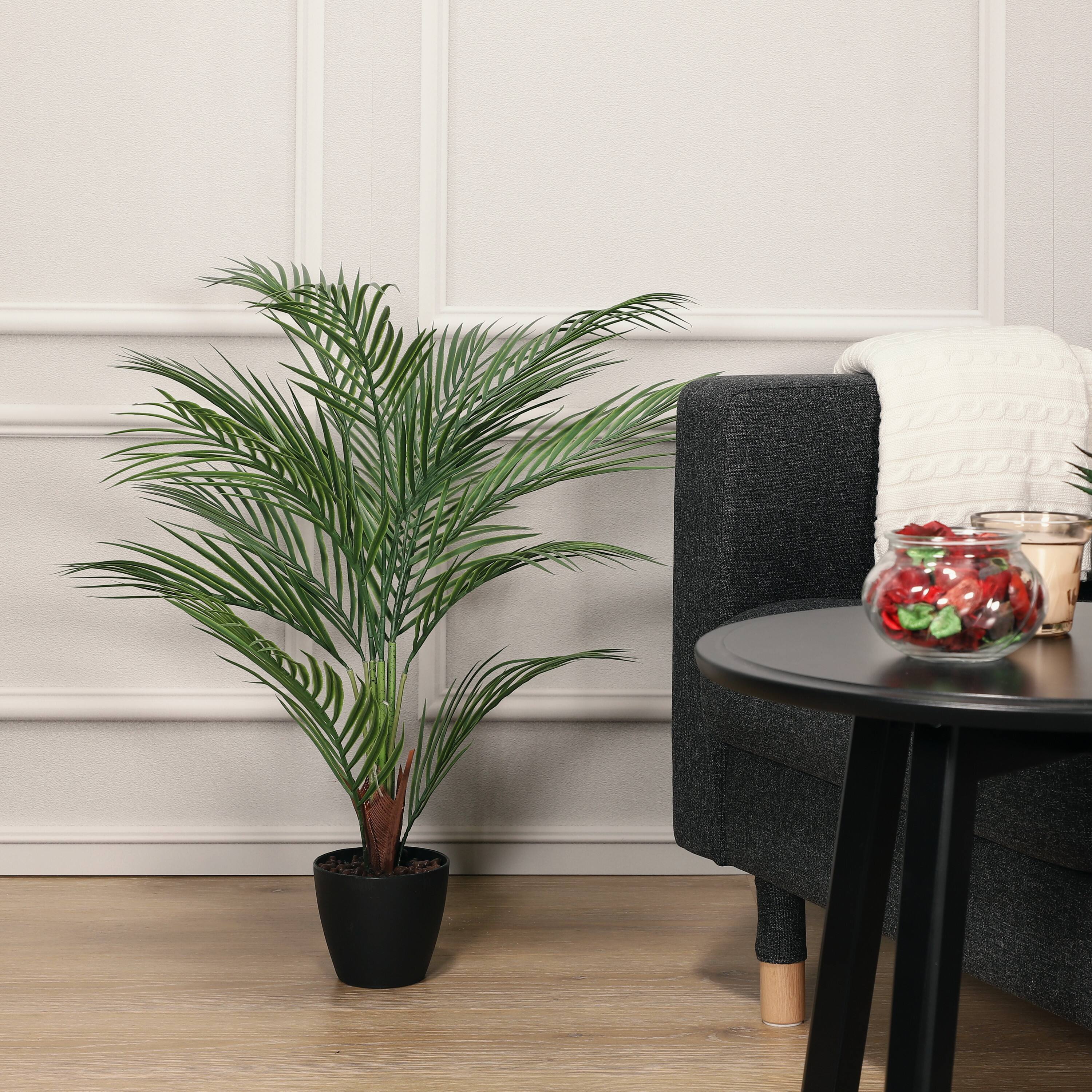 6 Pack: 3ft. Potted Areca Palm Tree