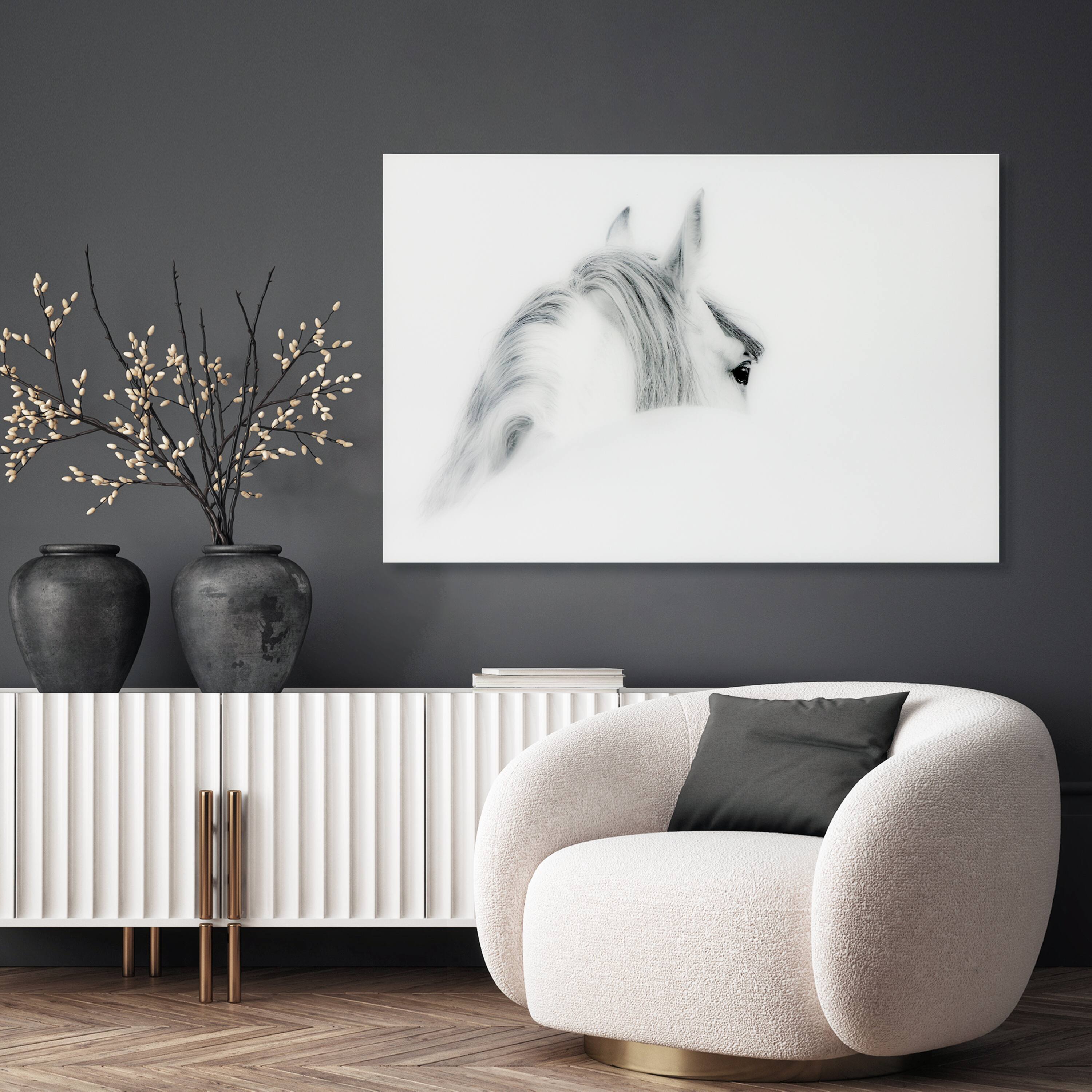 Empire Art Direct Vetro De Arte 48" x 32" Blanco Mare Horse Frameless Free Floating Printed Tempered Glass Wall Art