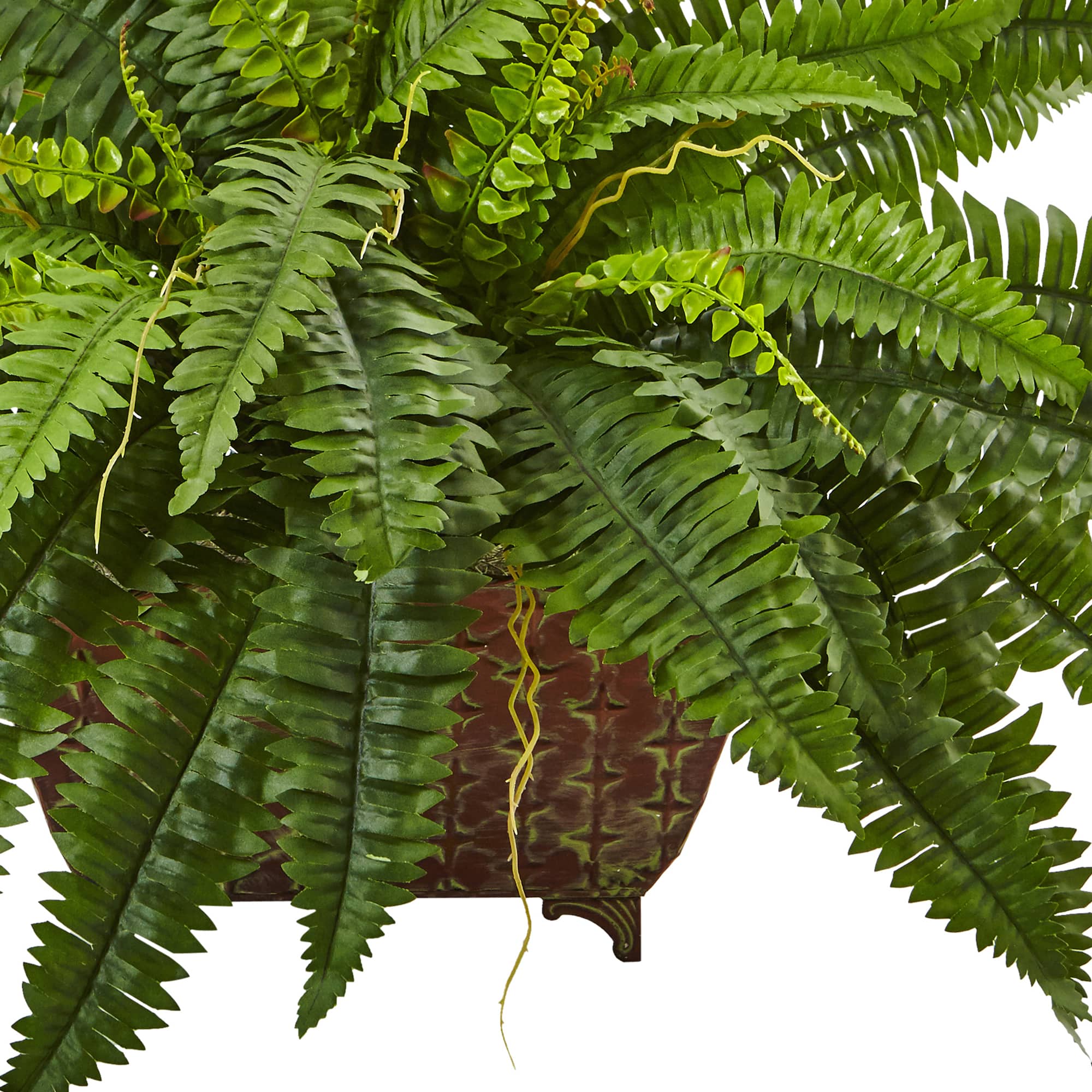 23" Boston Fern In Metallic Planter